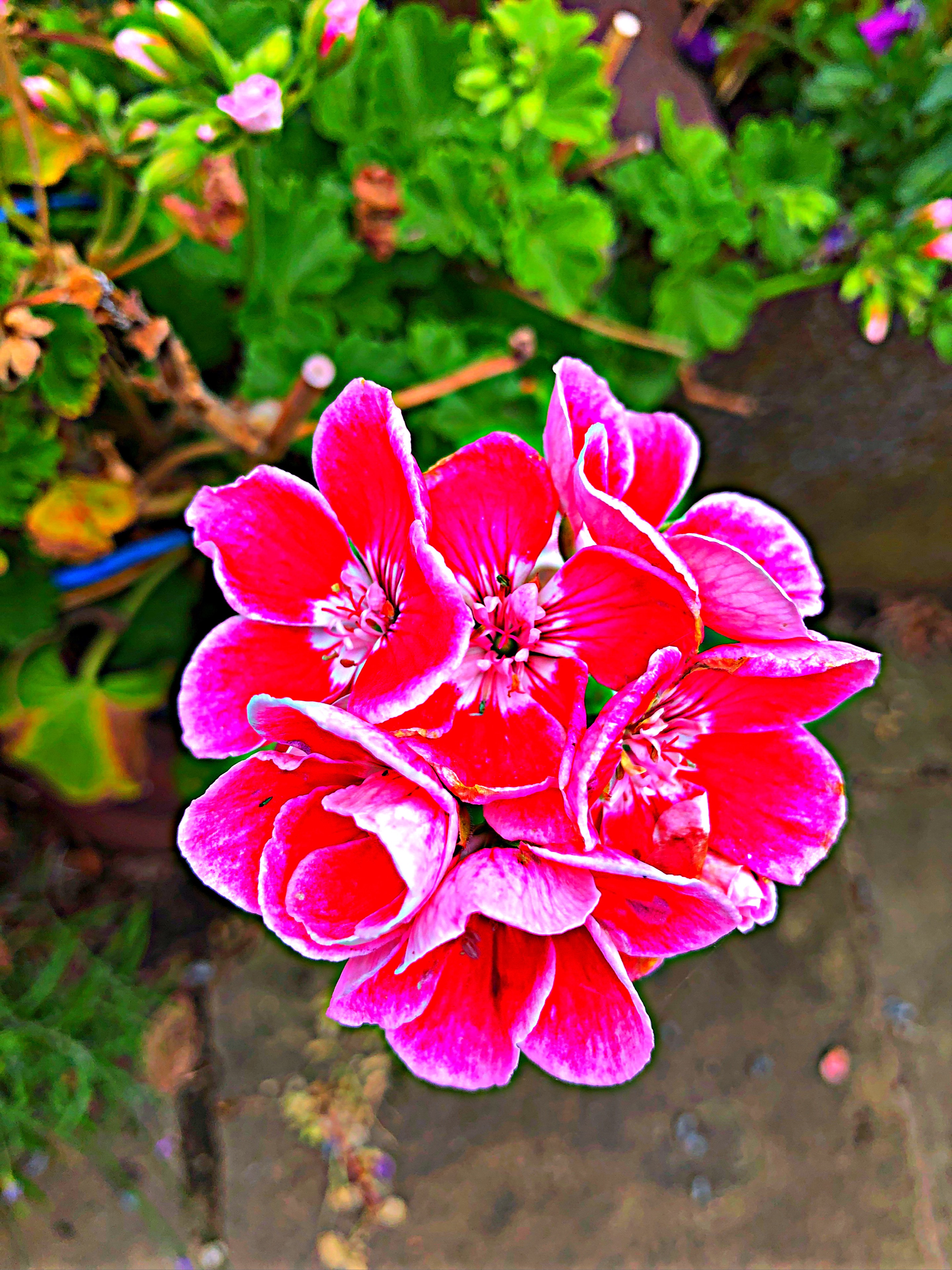 A8D69CC8022A4635AF7DFB6CC09ADA28.JPEG