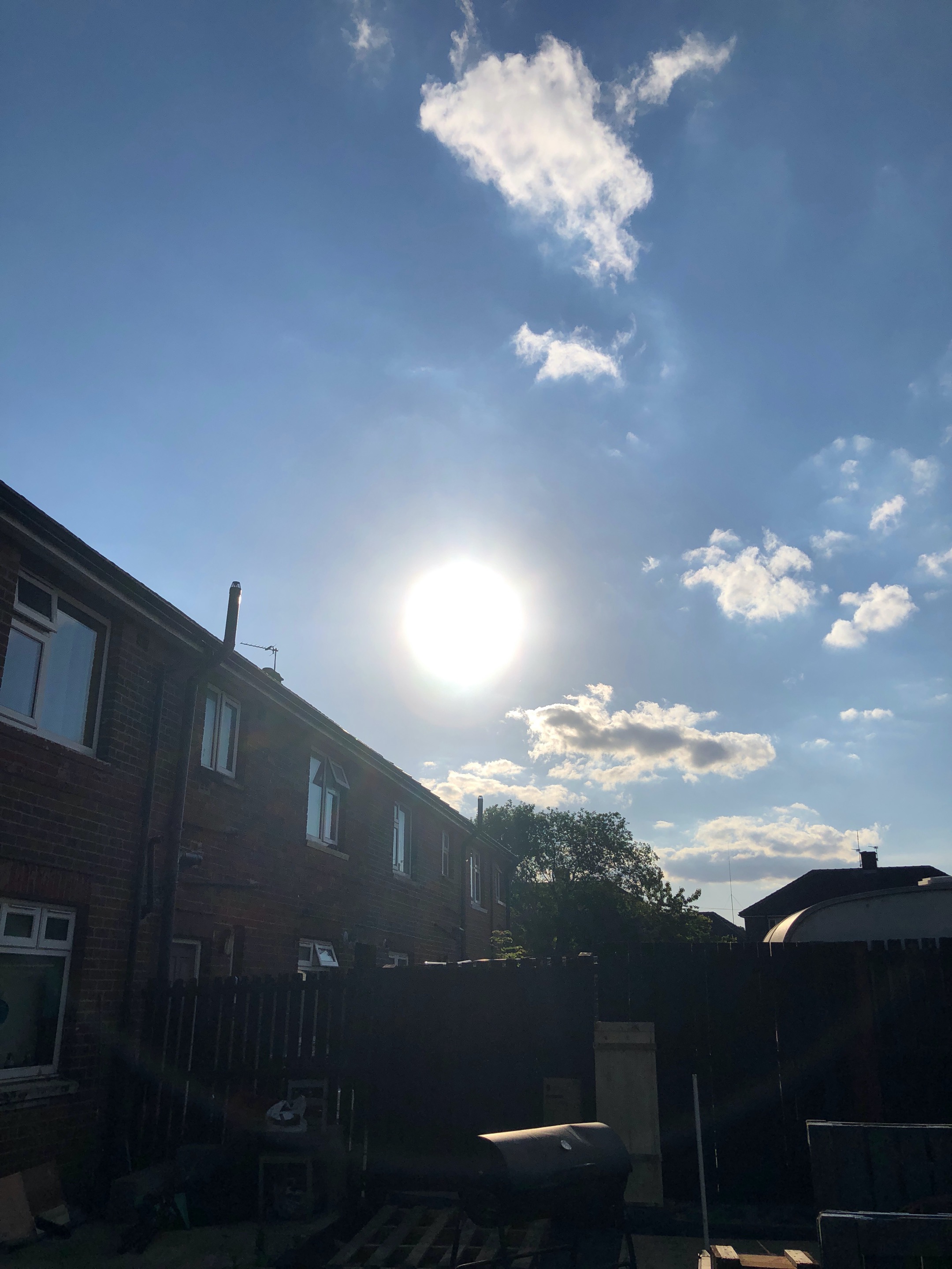 IMG_5891.jpeg