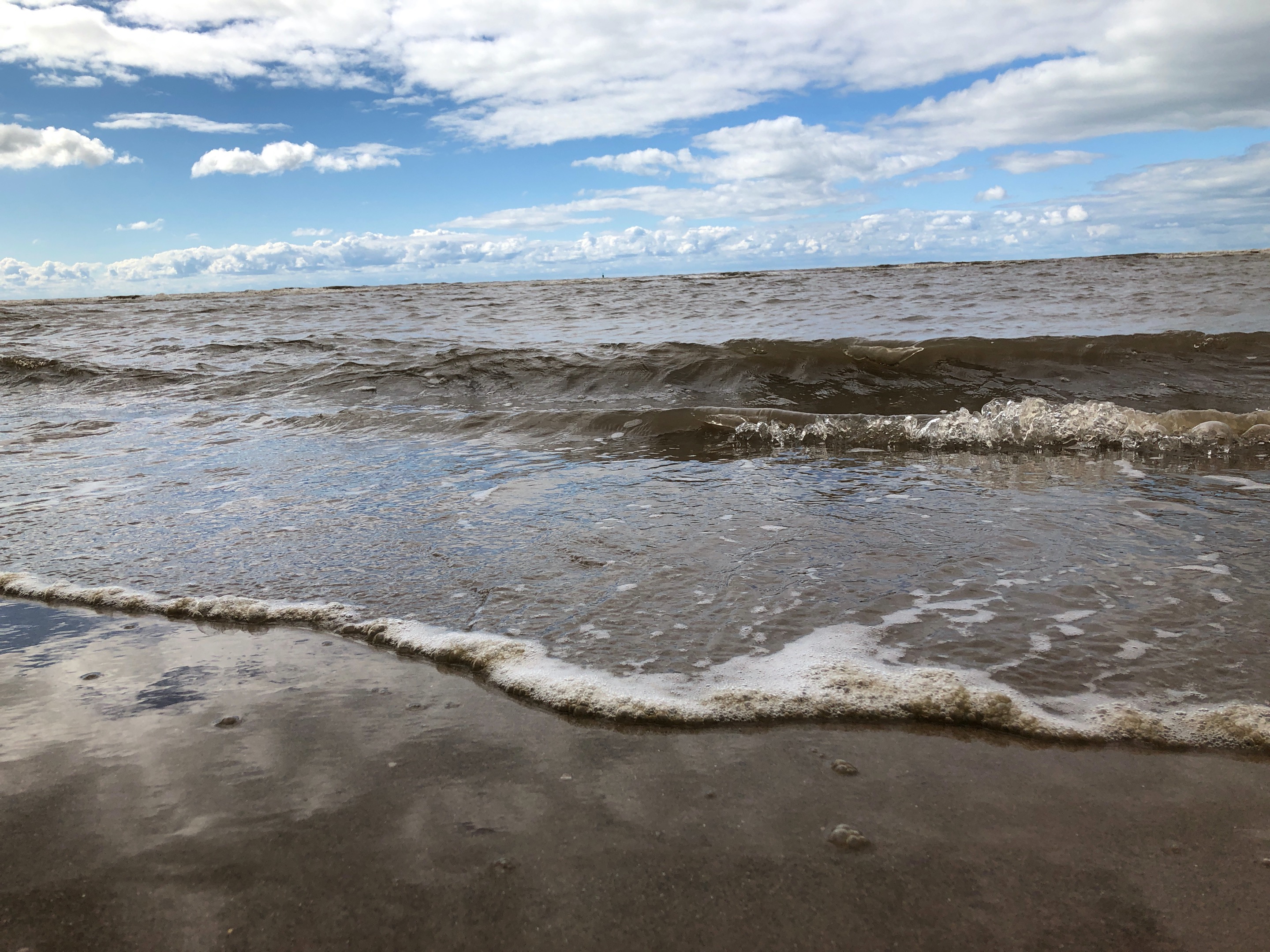 IMG_6697.jpeg