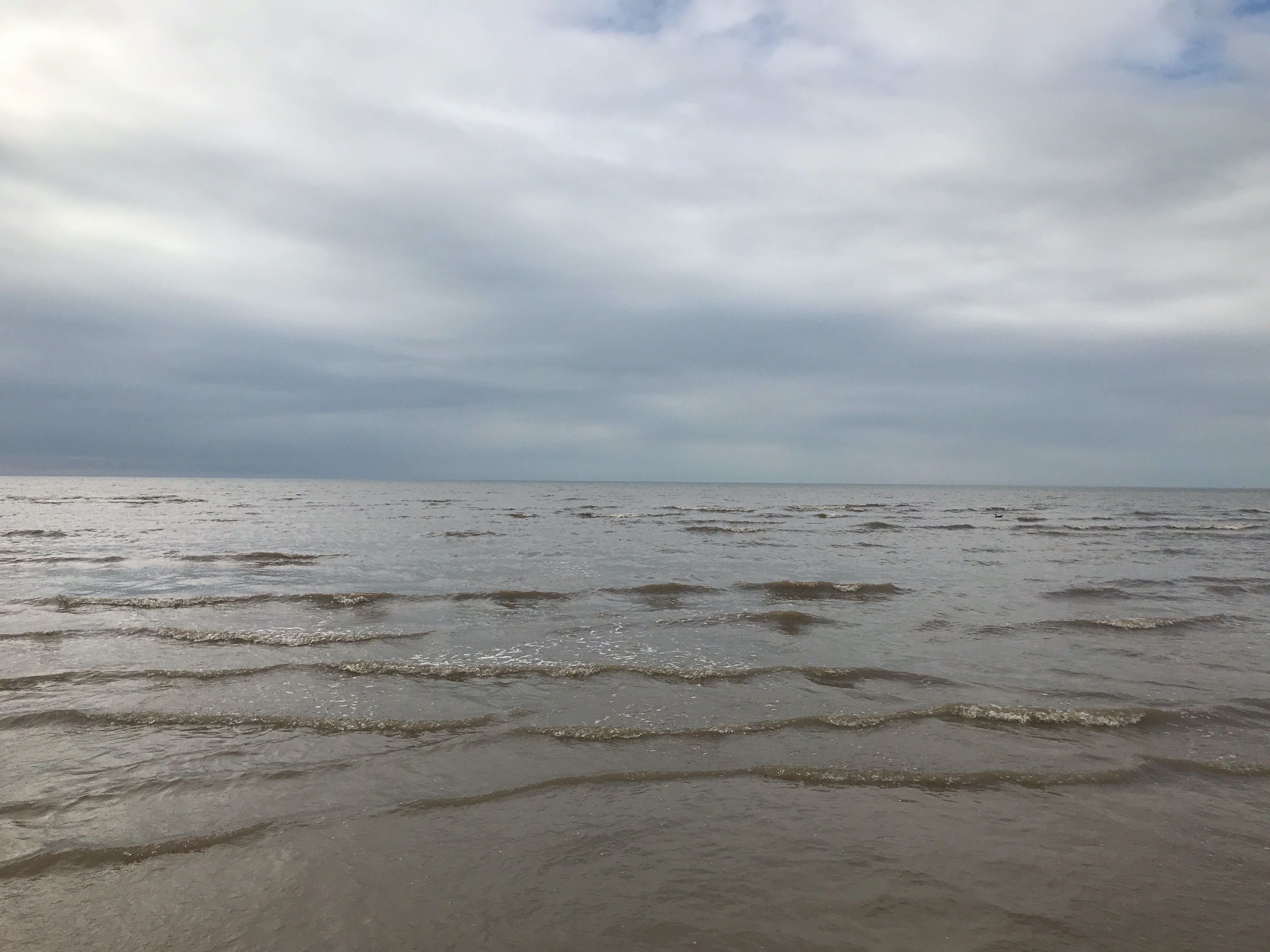 IMG_4670.jpeg