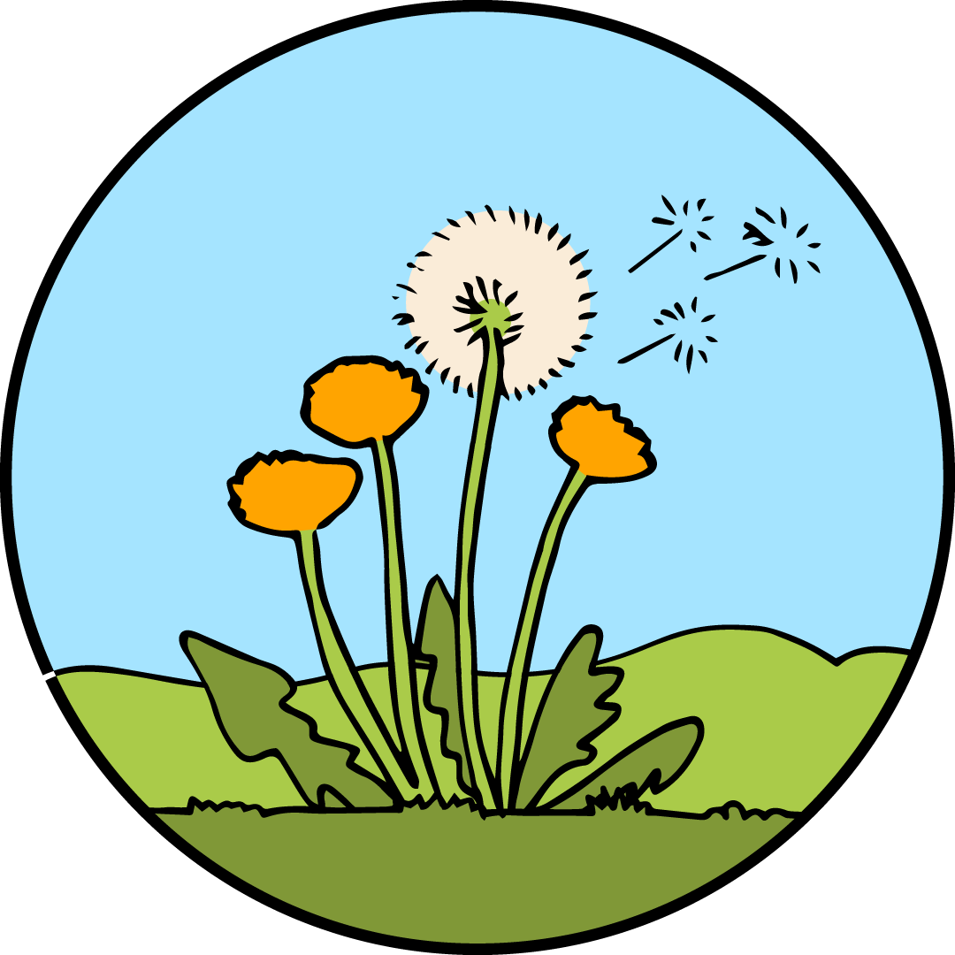 HiveOpenMic11C.png