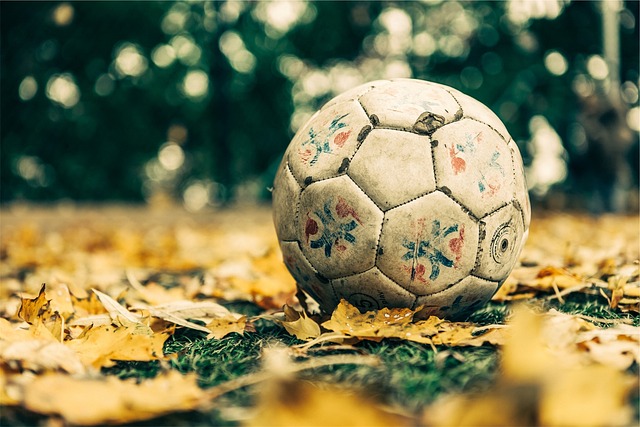 soccer-698553_640.jpg