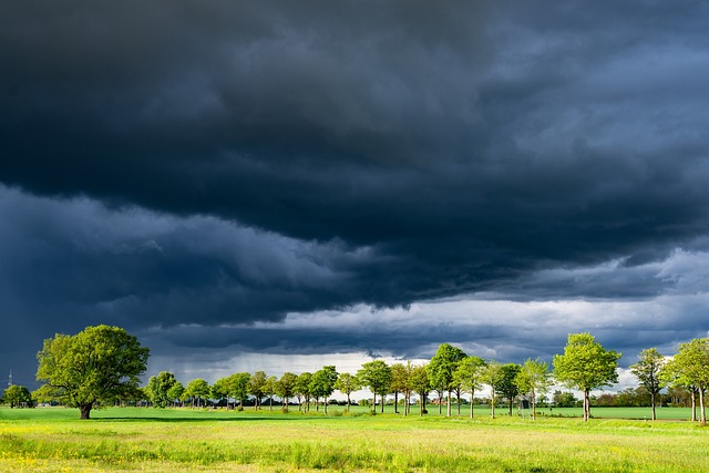 thunderstorm-7398529_640.jpg