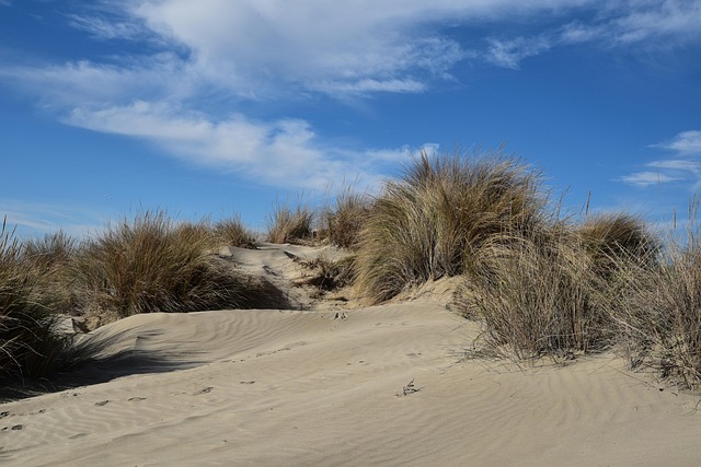 dune-8394643_640.jpg