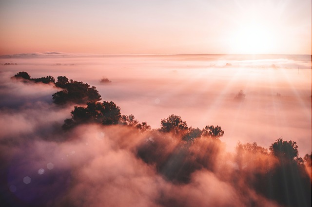 dawn-8361032_640.jpg