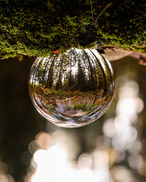 glass-ball-4556170_640.jpg