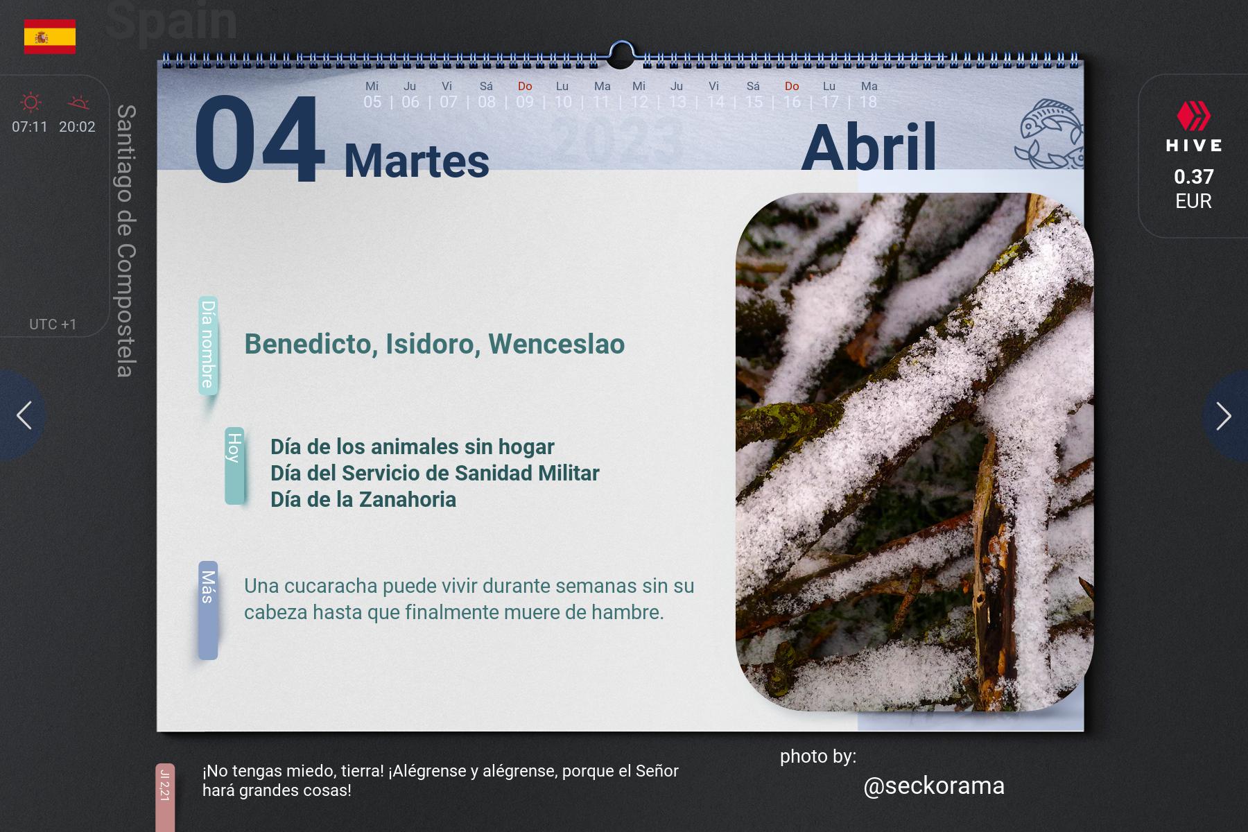 7_2023-04-04_es.jpg