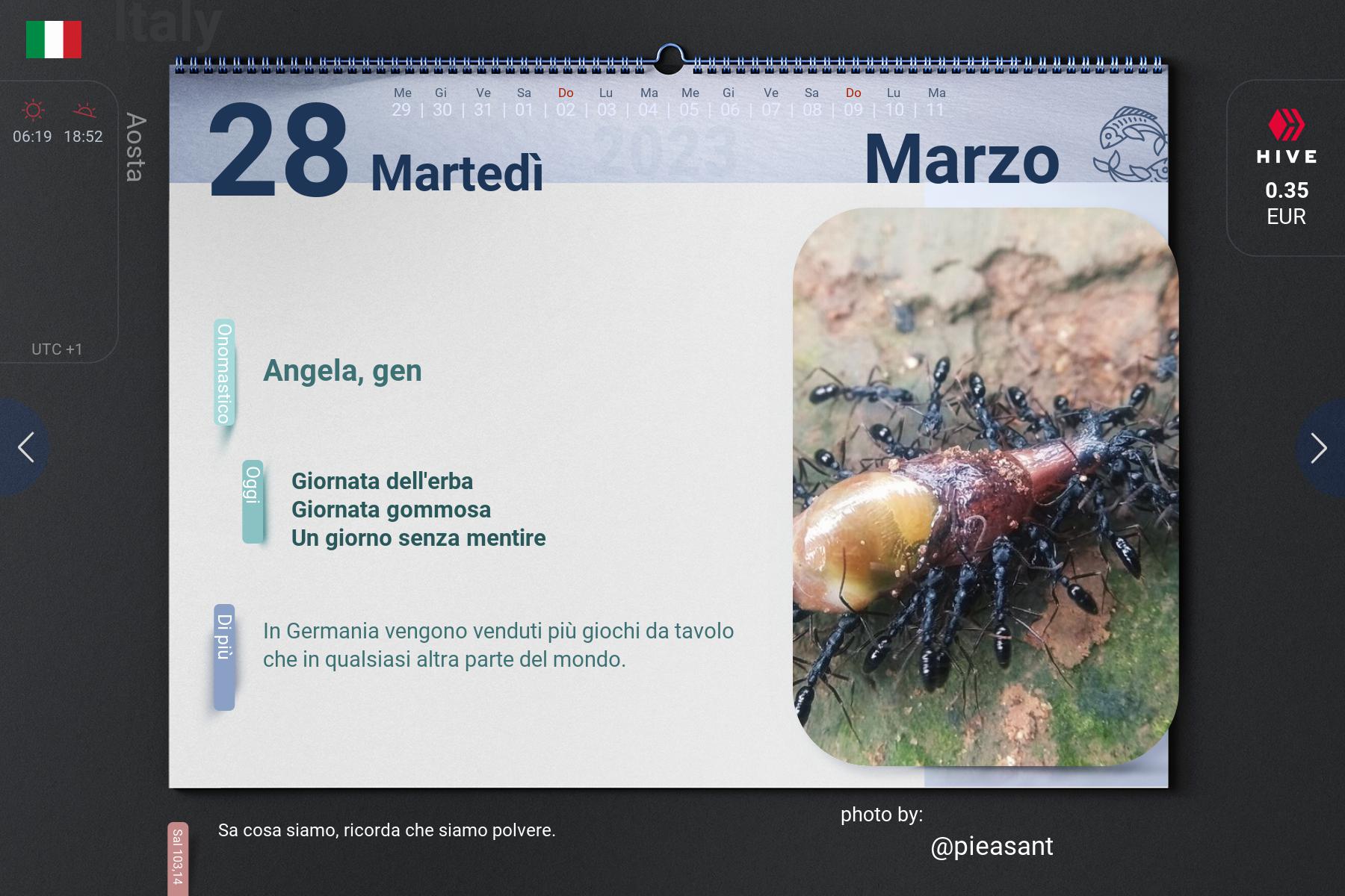 4_2023-03-28_it.jpg