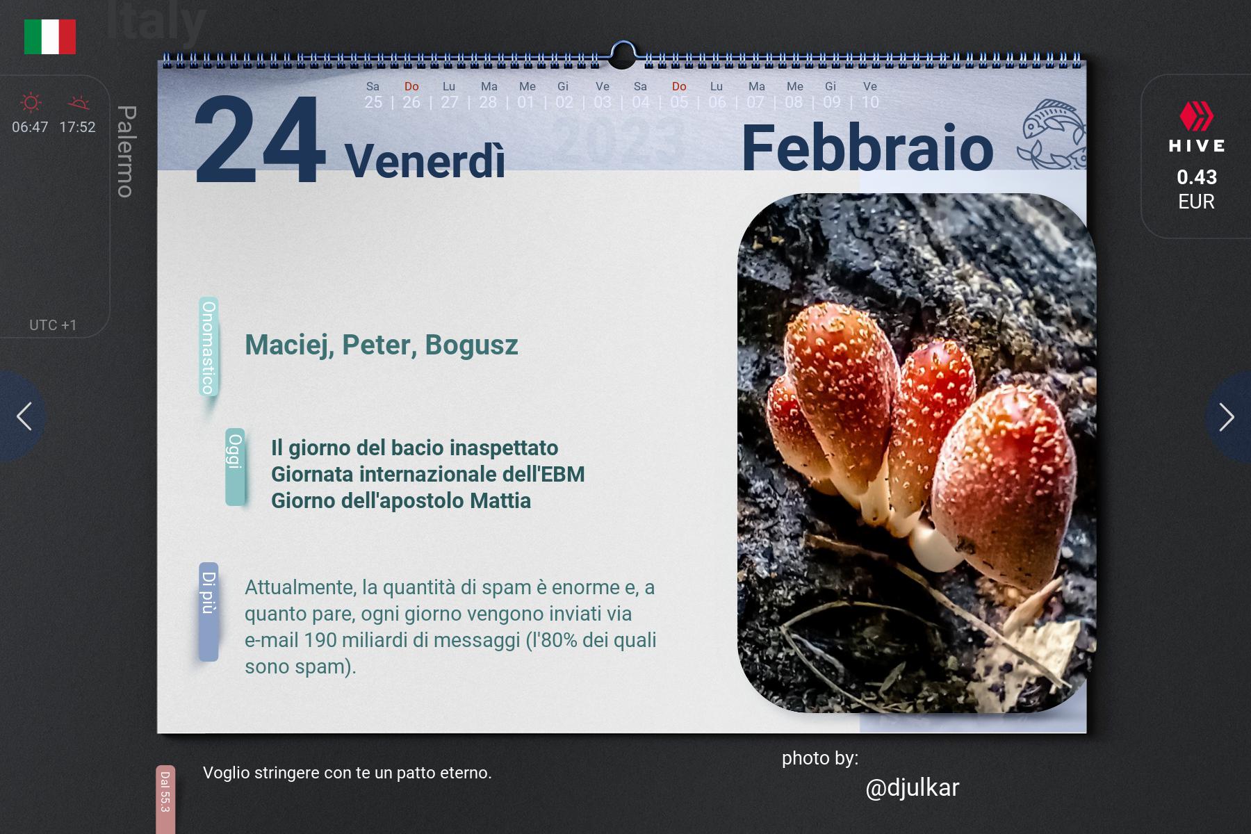 4_2023-02-24_it.jpg