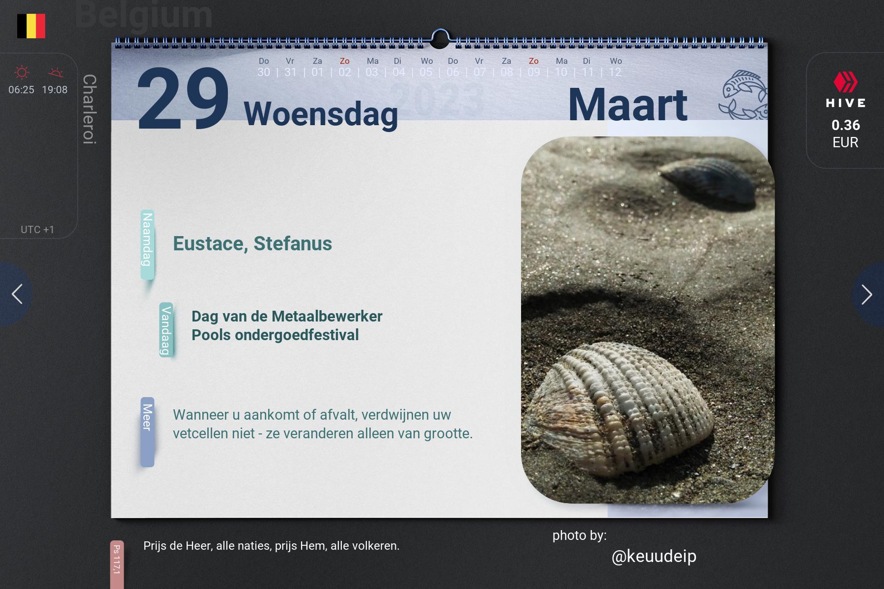 10_2023-03-29_be.jpg