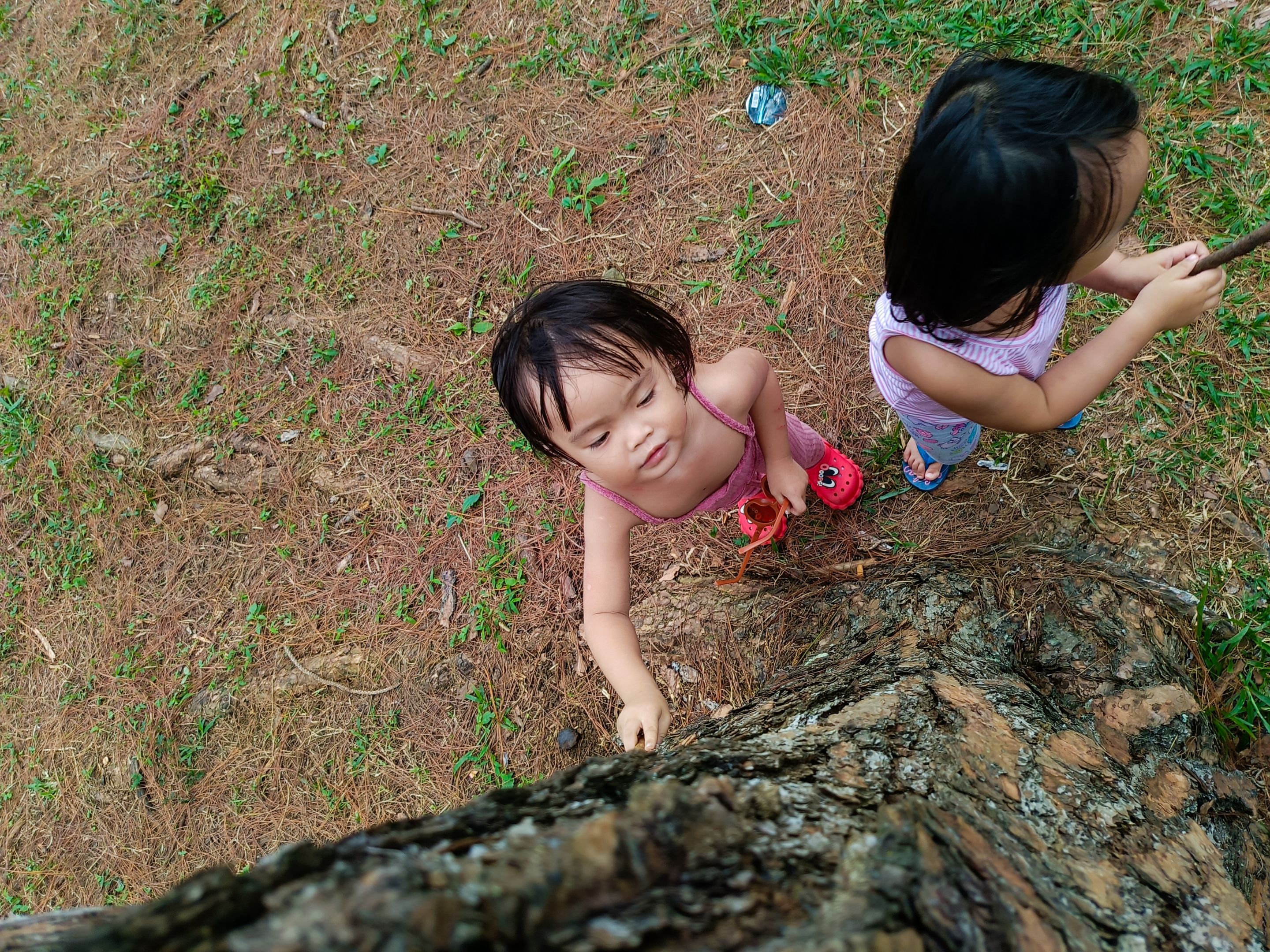 IMG20231229115443.jpg