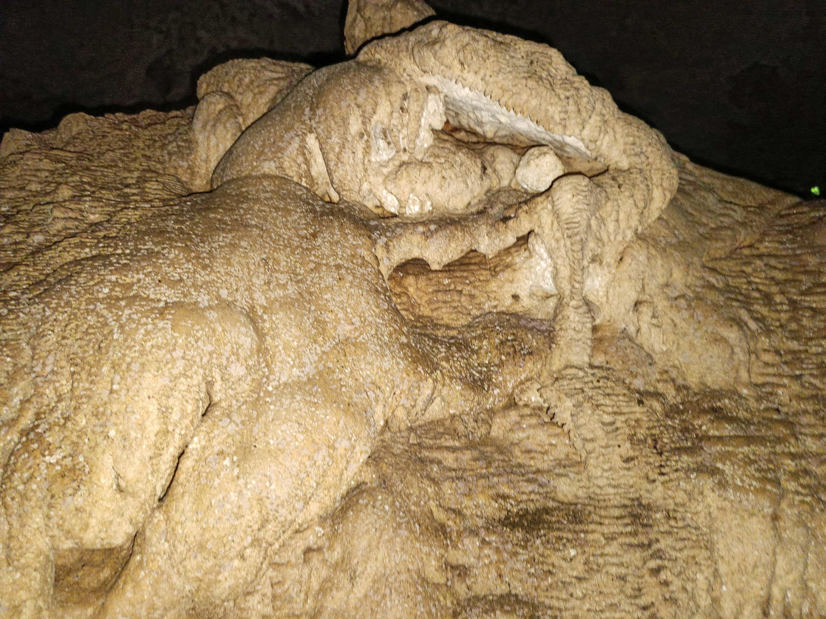 IMG20230708084251.jpg