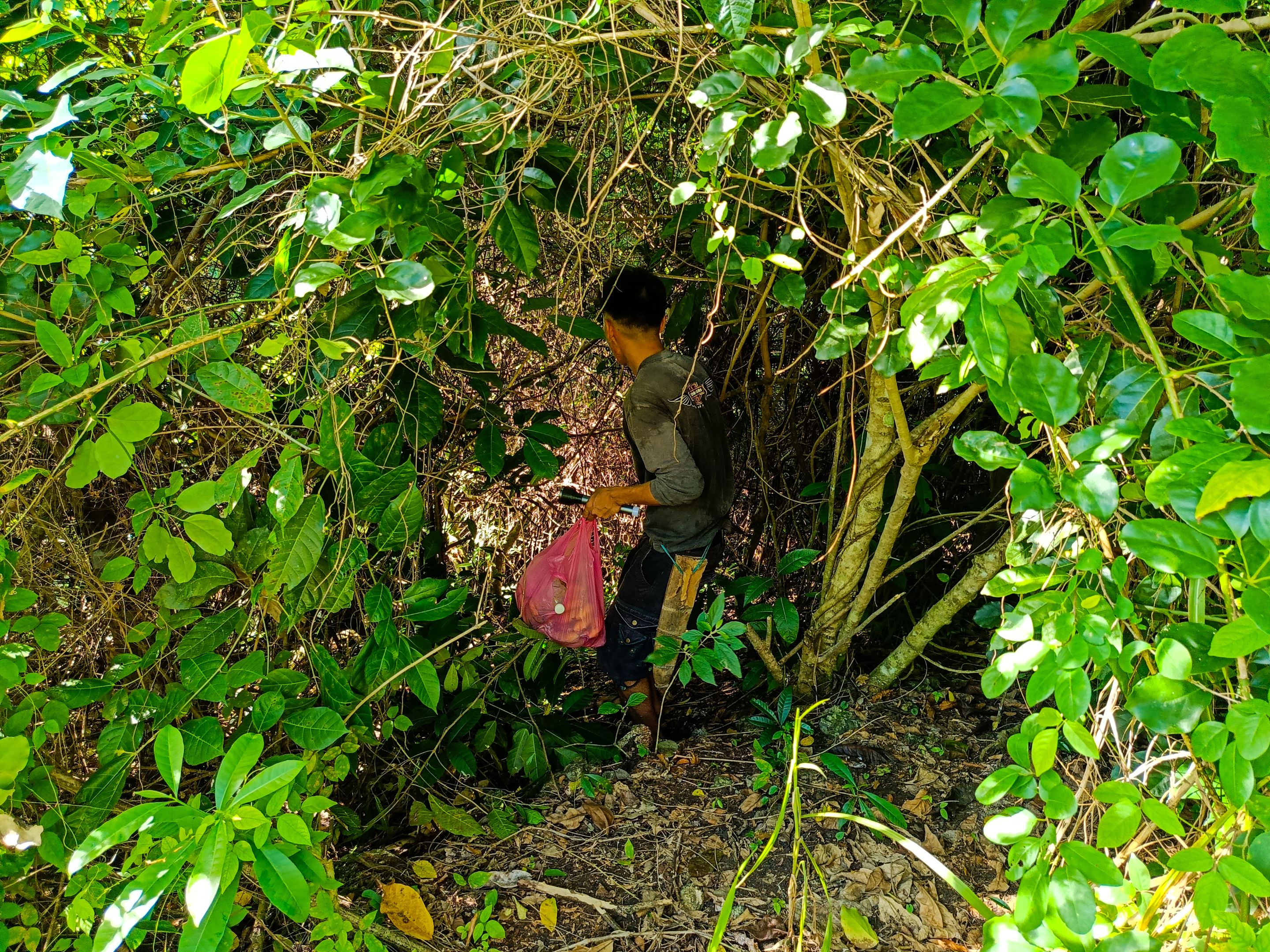 IMG20230708082459.jpg