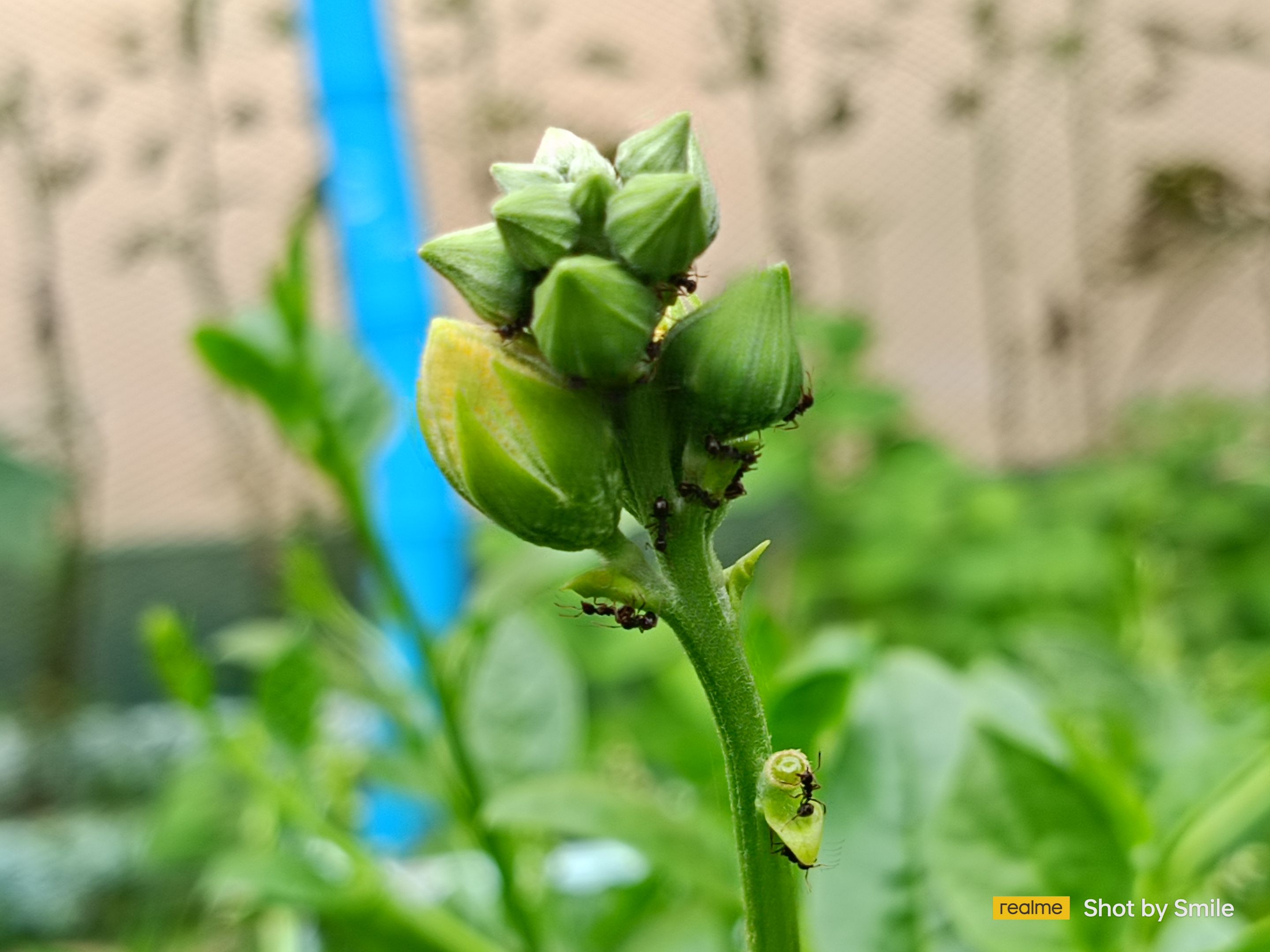 IMG20230724152214.jpg
