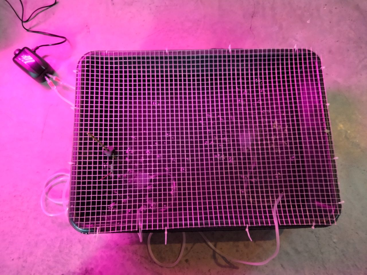 bubblerfinal.jpg
