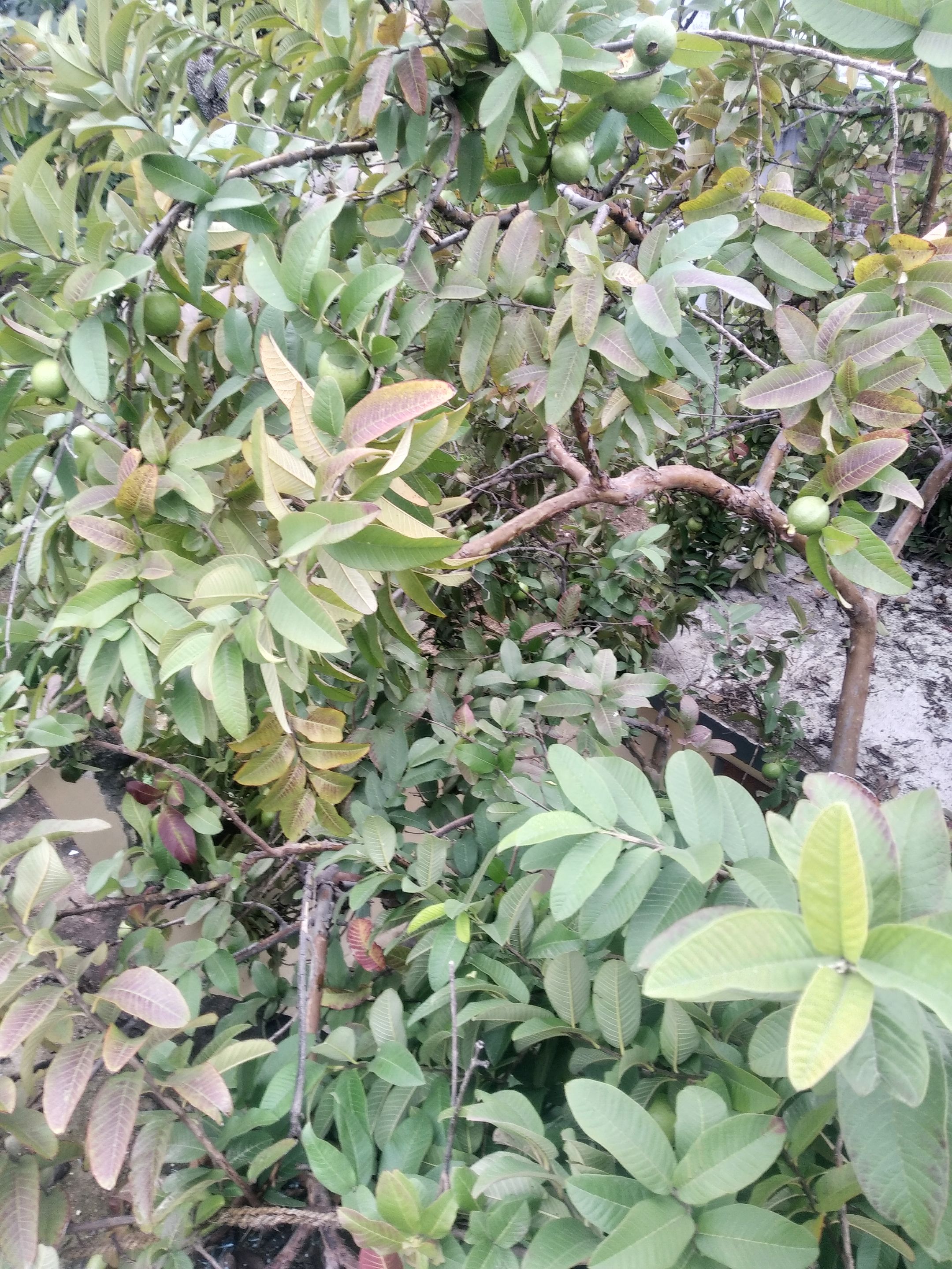 IMG_20220115_105439.jpg