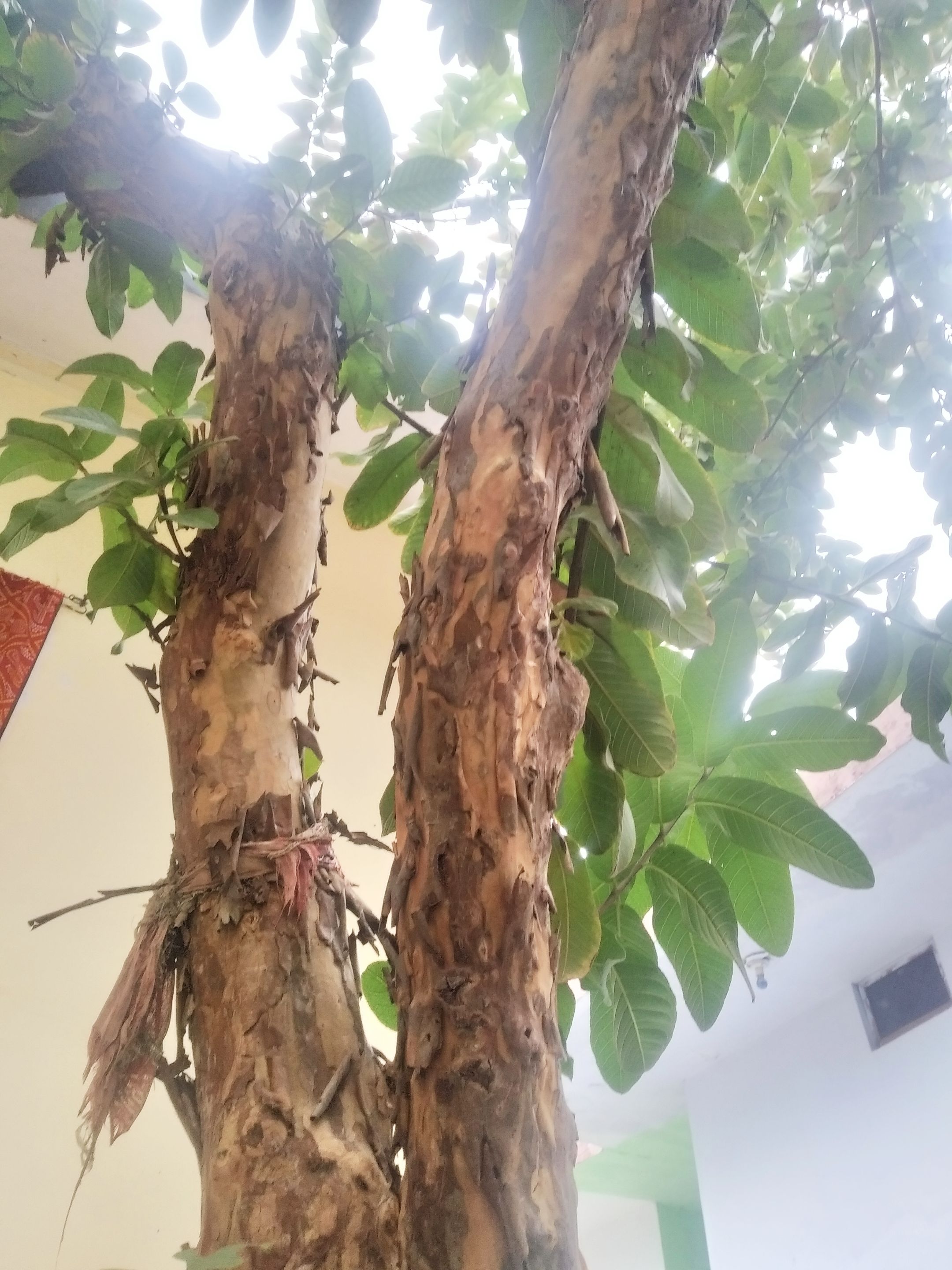 IMG_20220115_105647.jpg