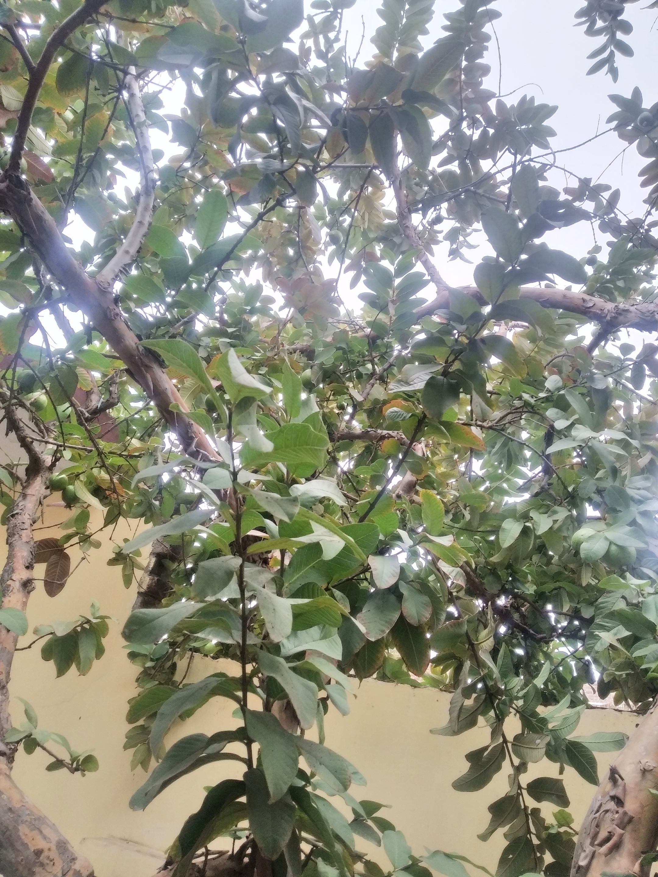 IMG_20220115_105706.jpg