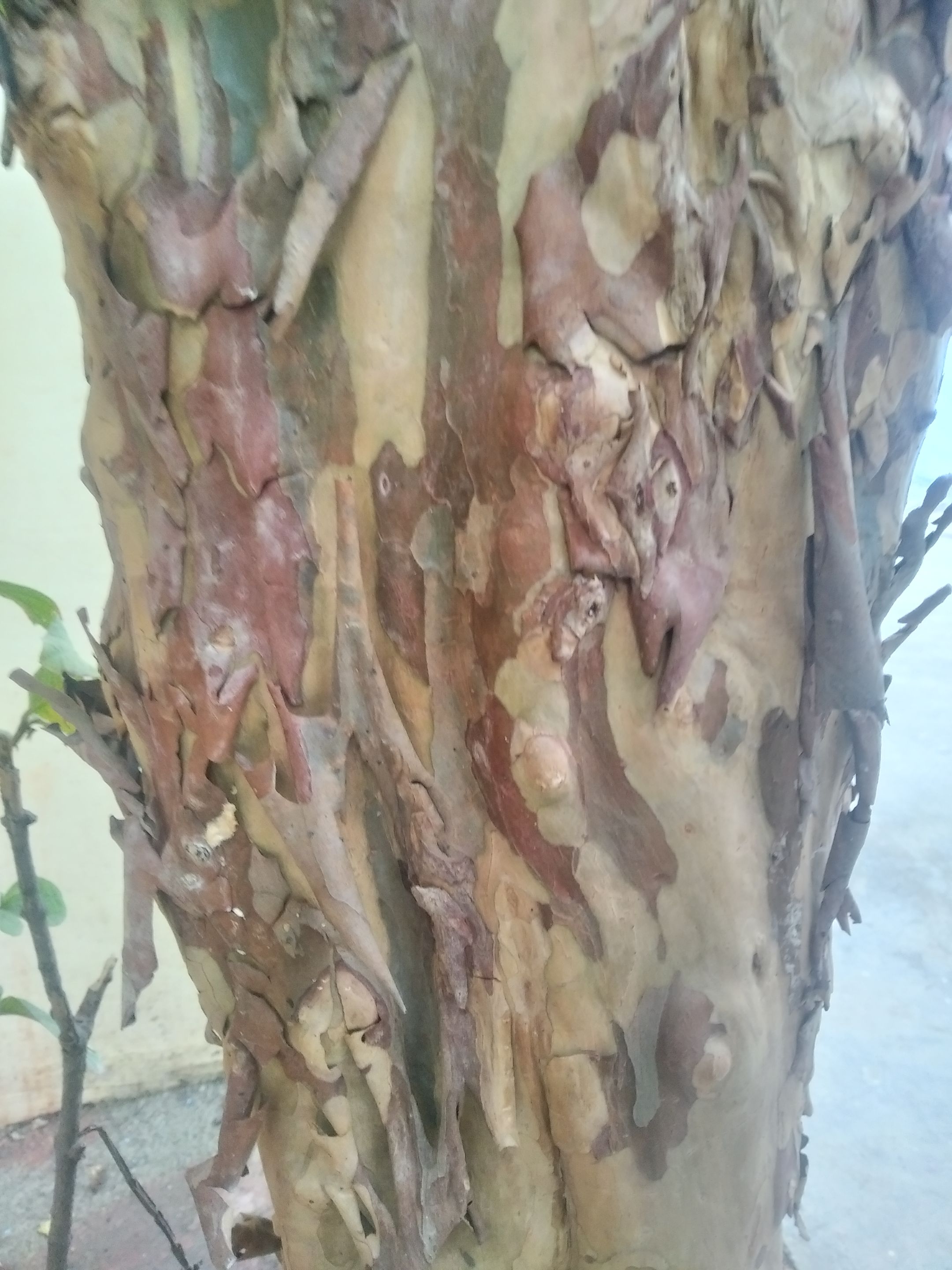 IMG_20220115_105654.jpg