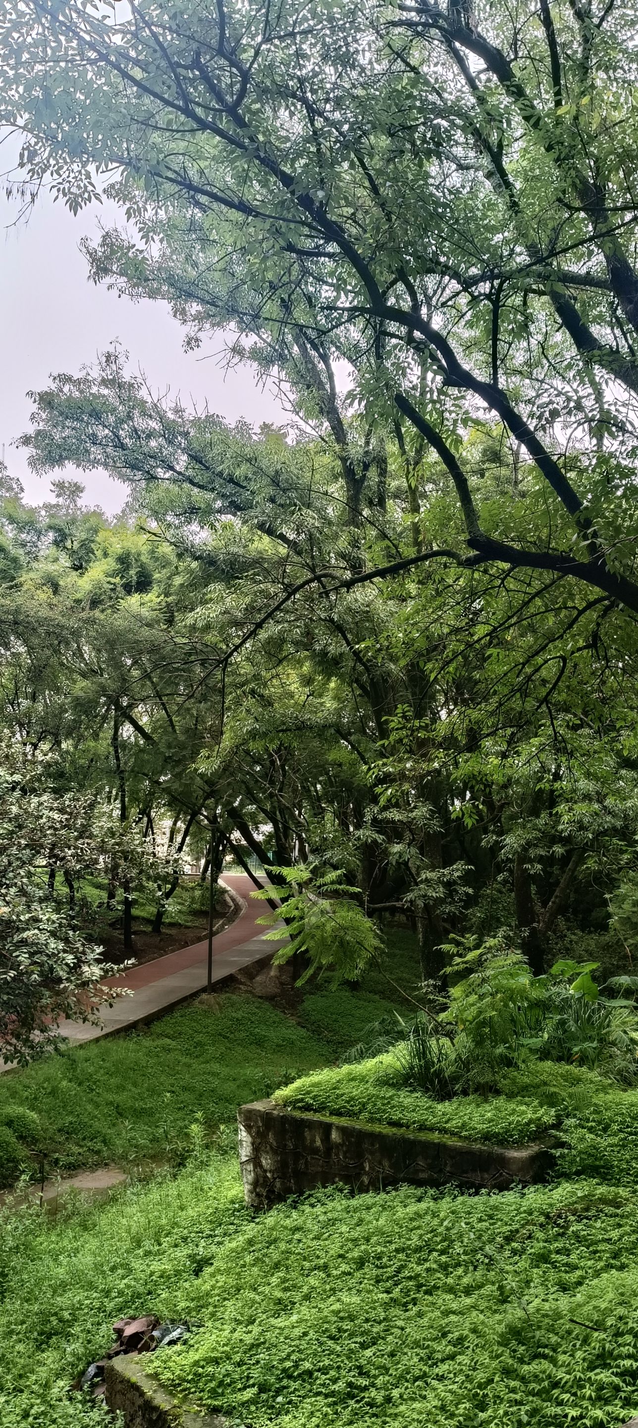 IMG20250825091925.jpg