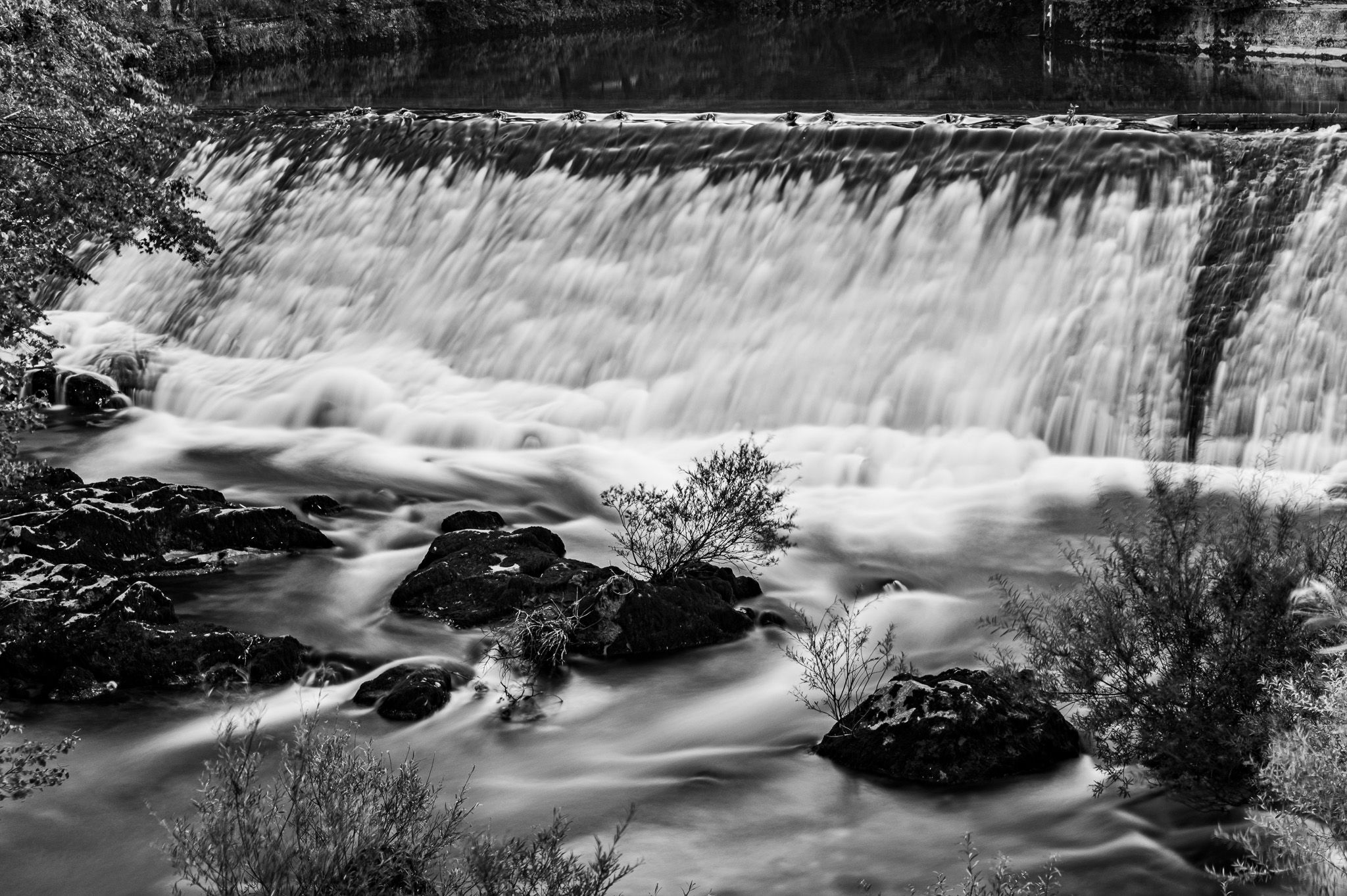 _0Z65796-Edit.jpg