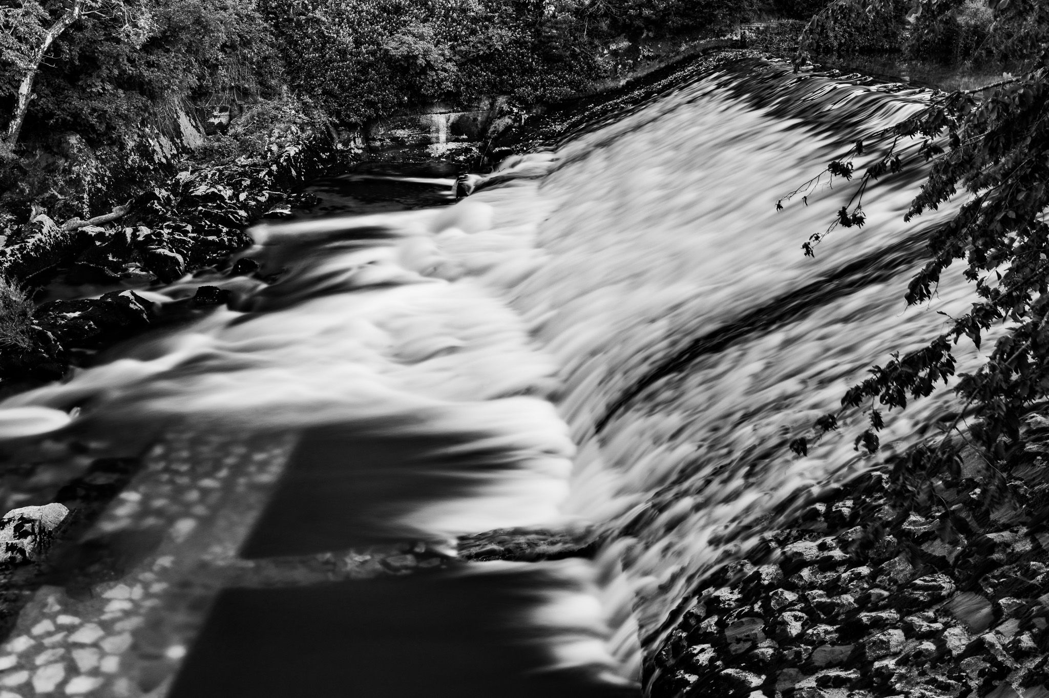 _0Z65797-Edit.jpg