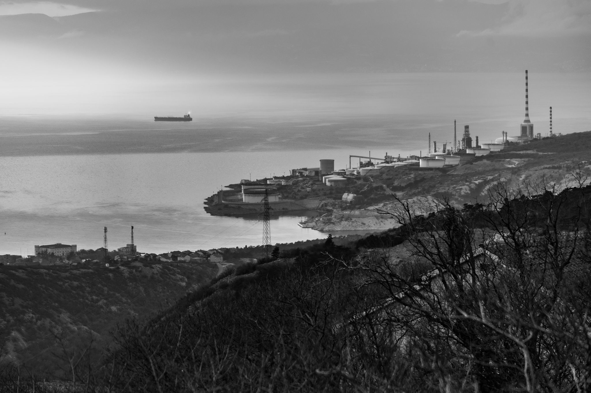 _0Z67017.jpg