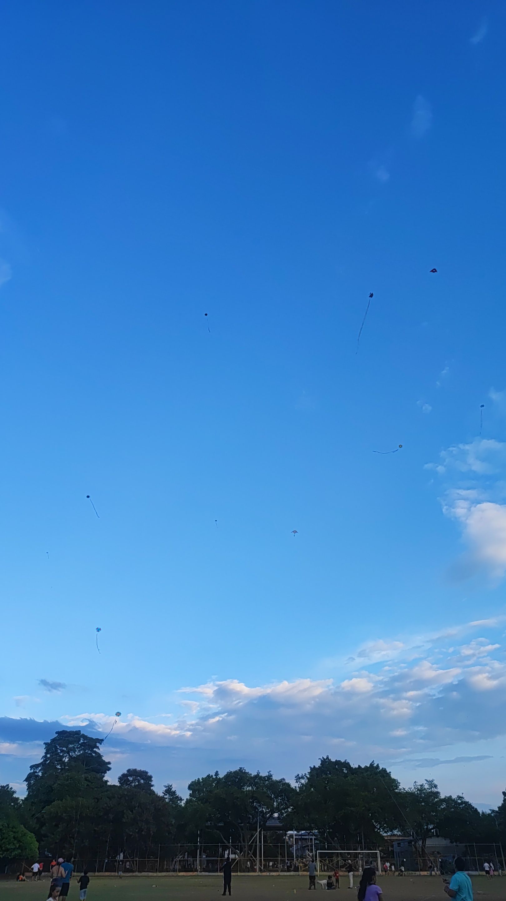 1000160121.jpg