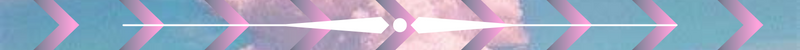 SEPARADOR.png