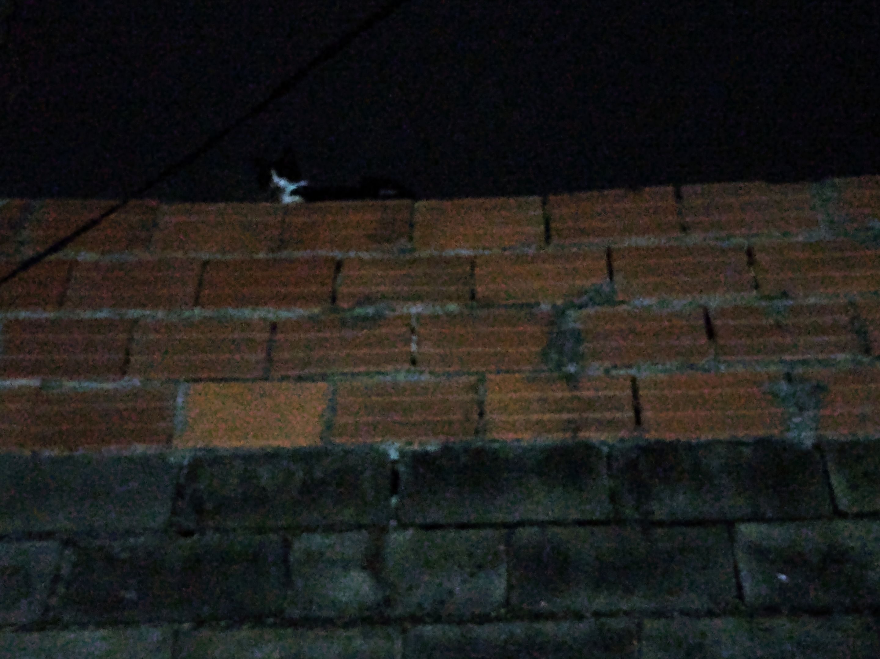 1000287719-01.jpeg