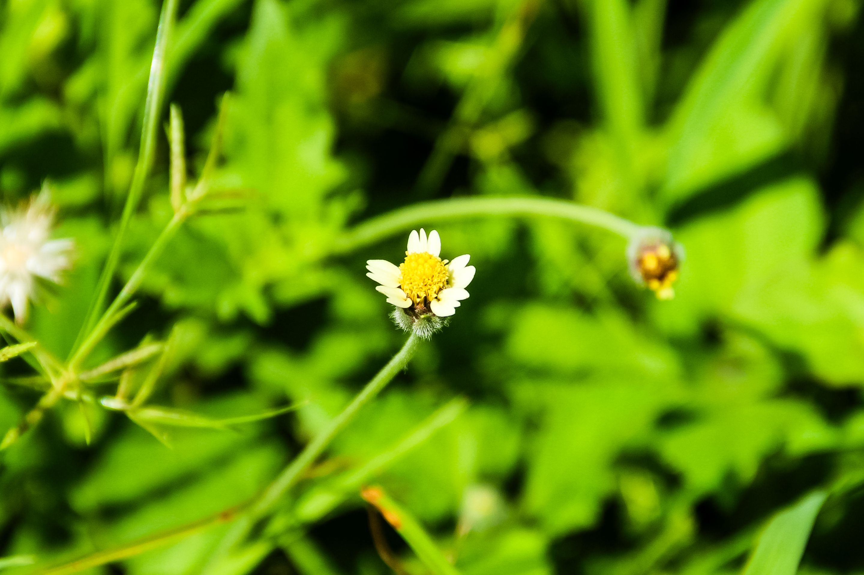 IMG_6500.jpg