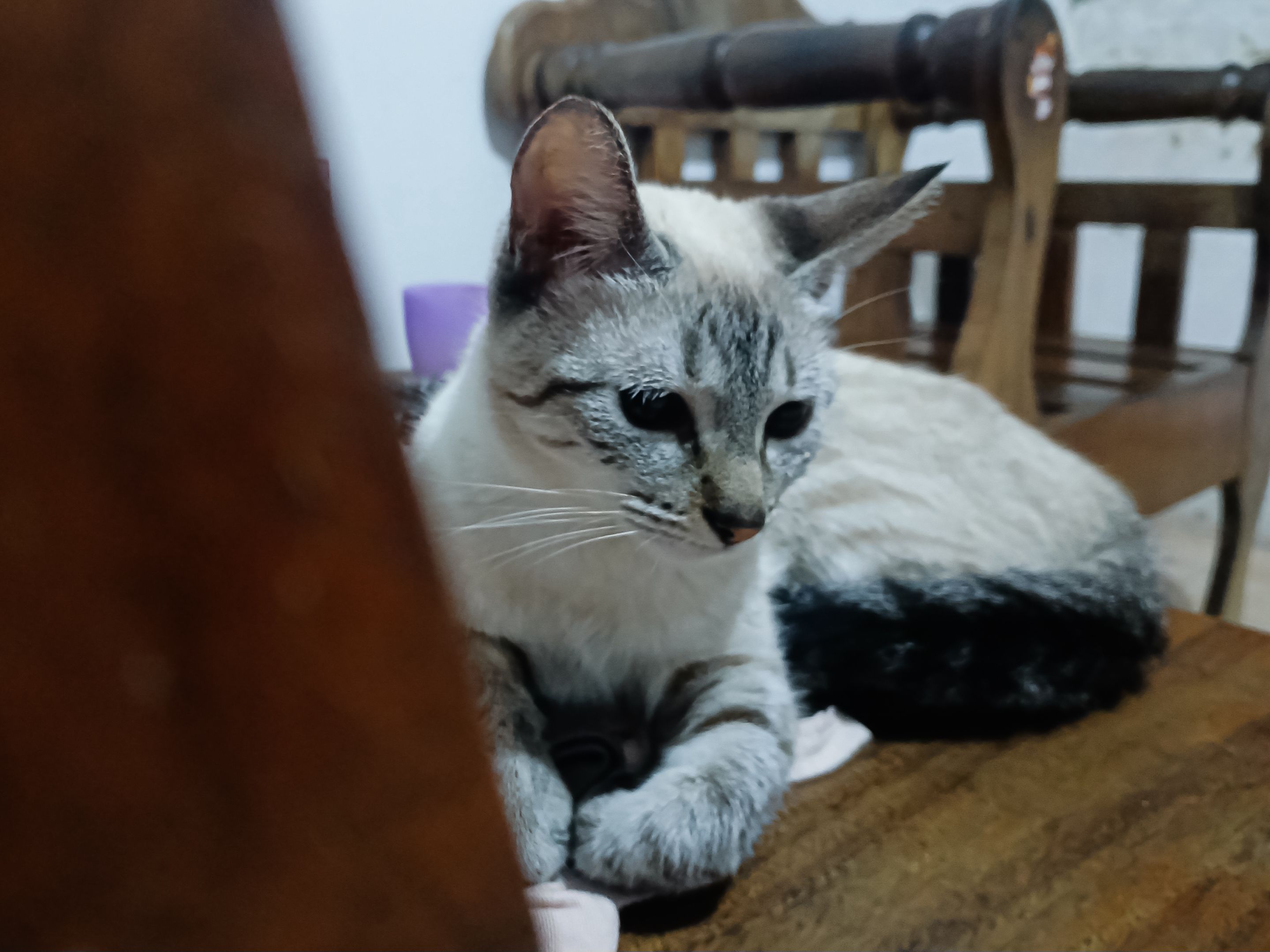 20250908_212741.jpg
