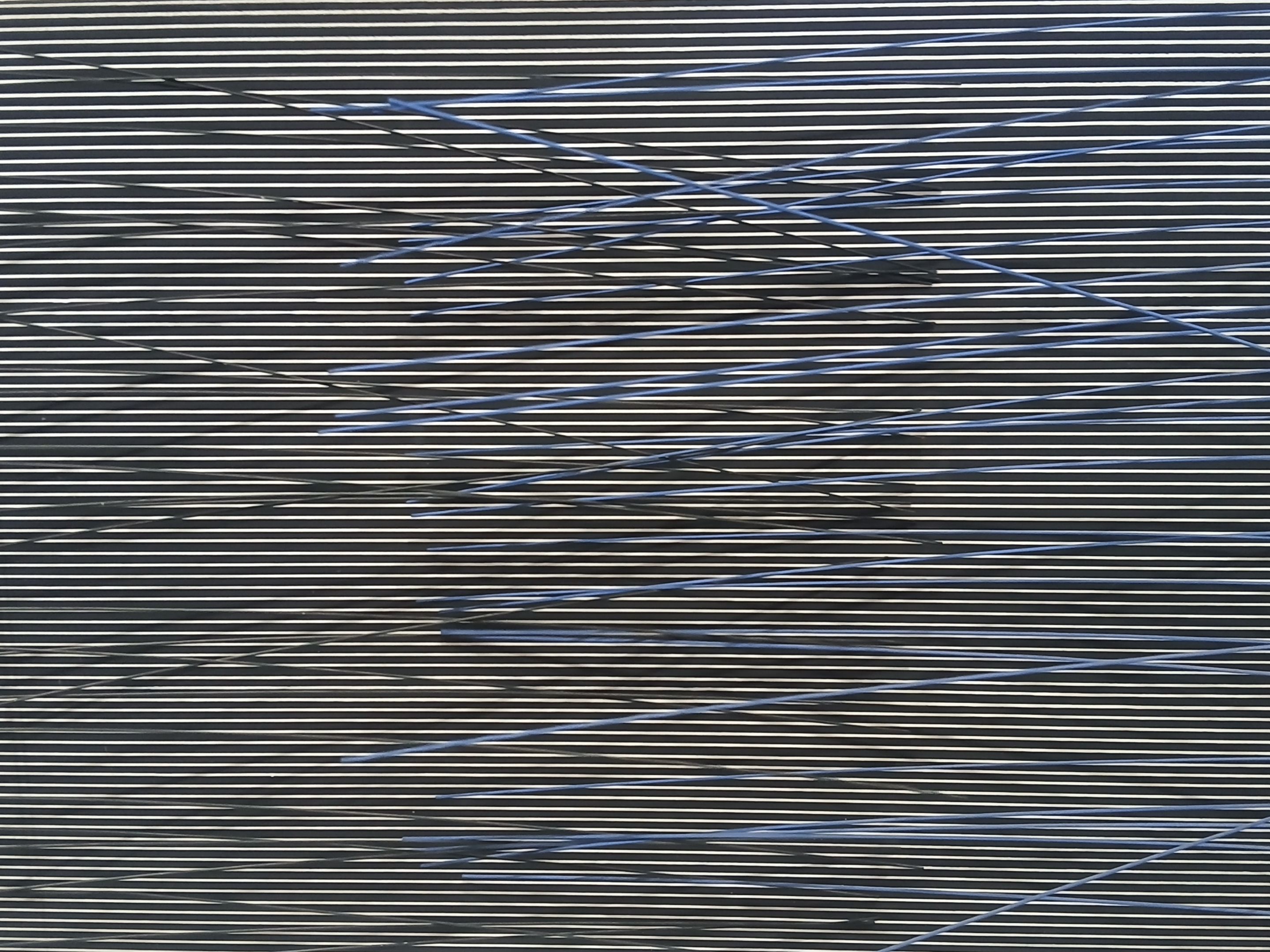 20250621_125543.jpg
