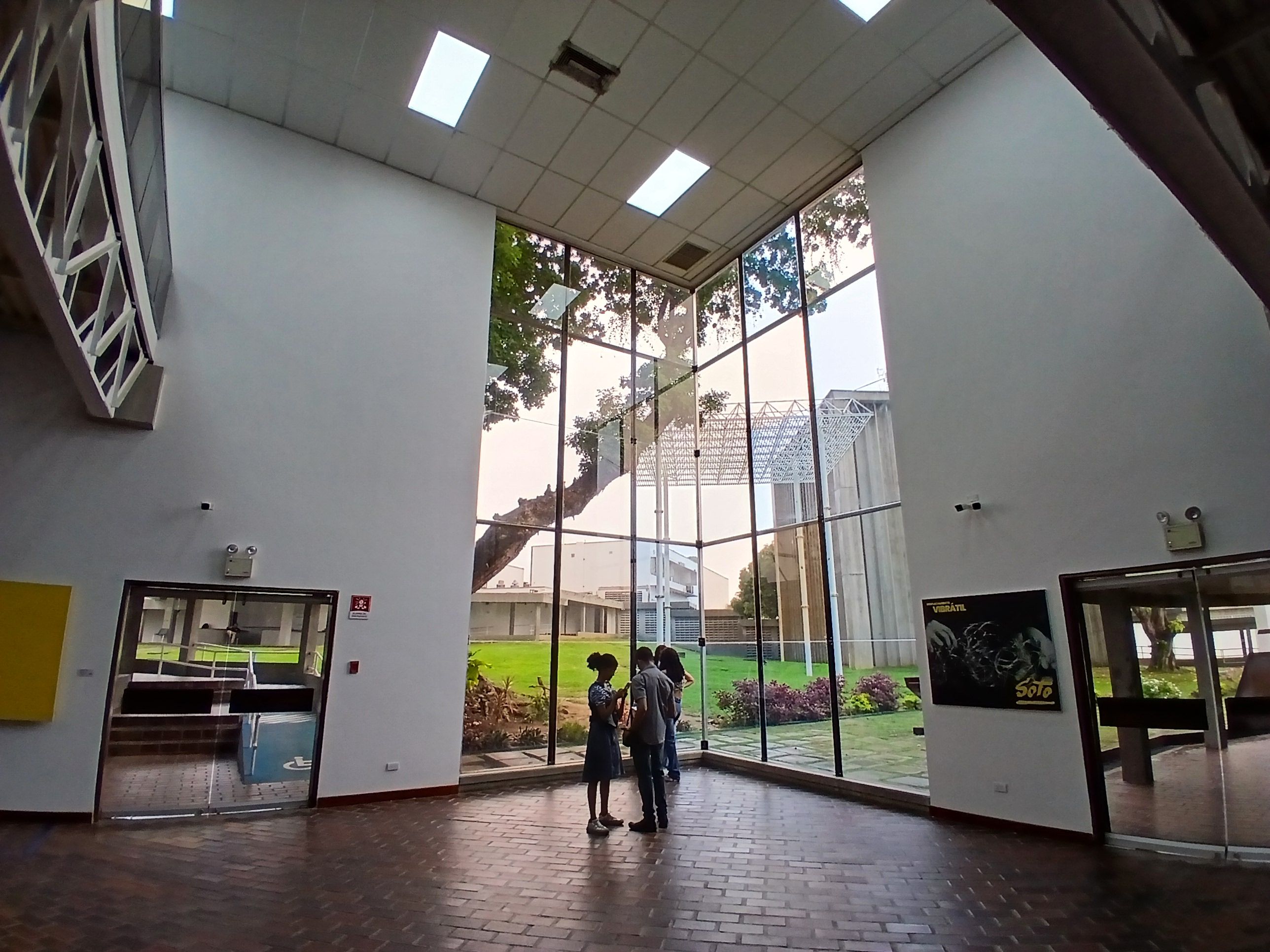 20250621_131323.jpg