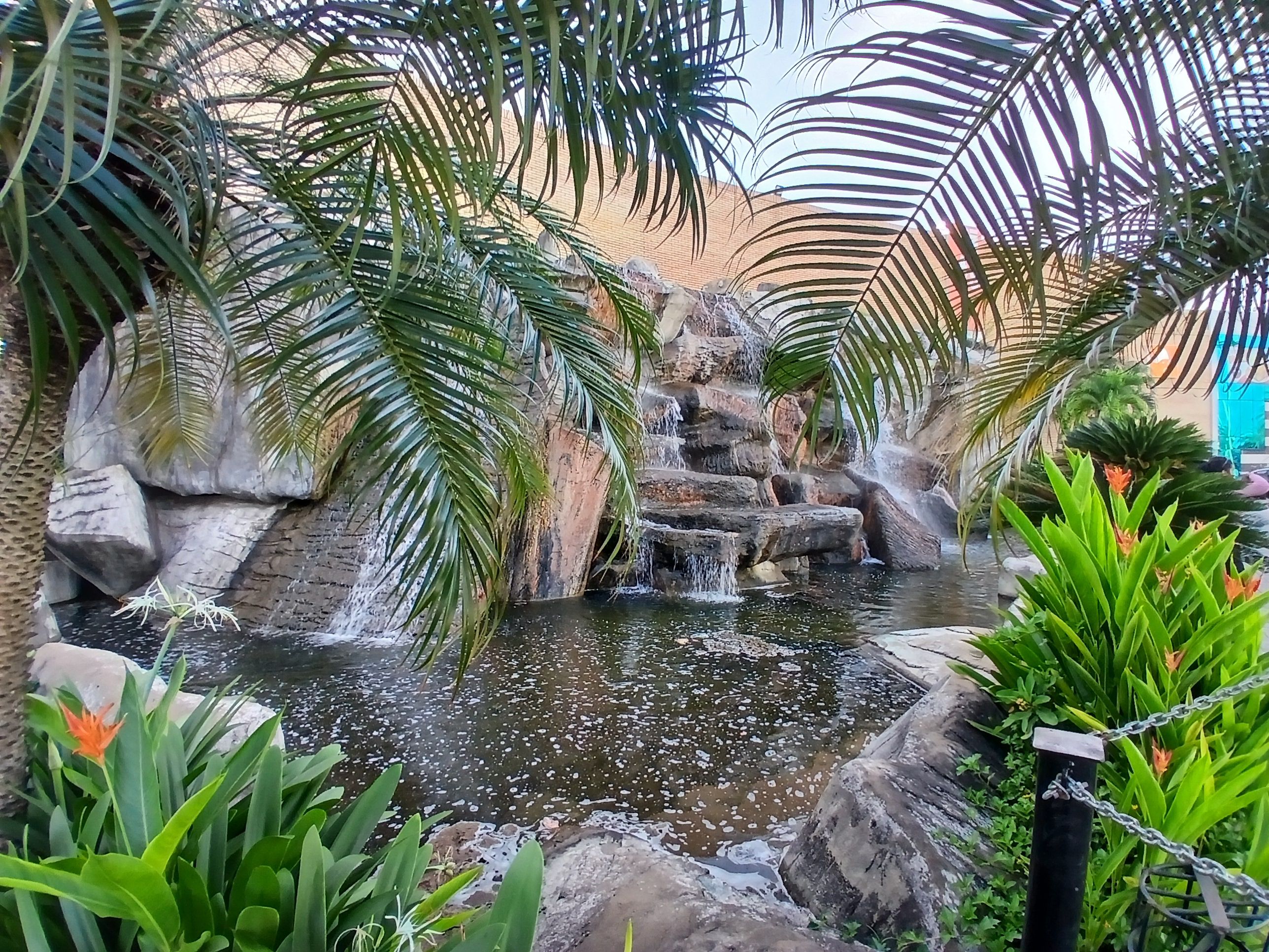 20250902_164928.jpg