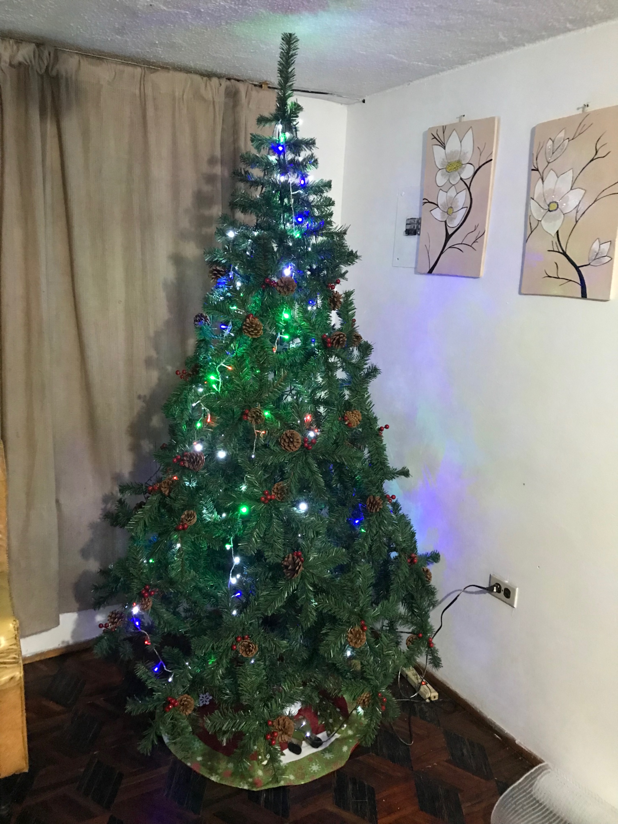 8C226F23-C854-4E97-8C6C-9714C9769210.jpeg