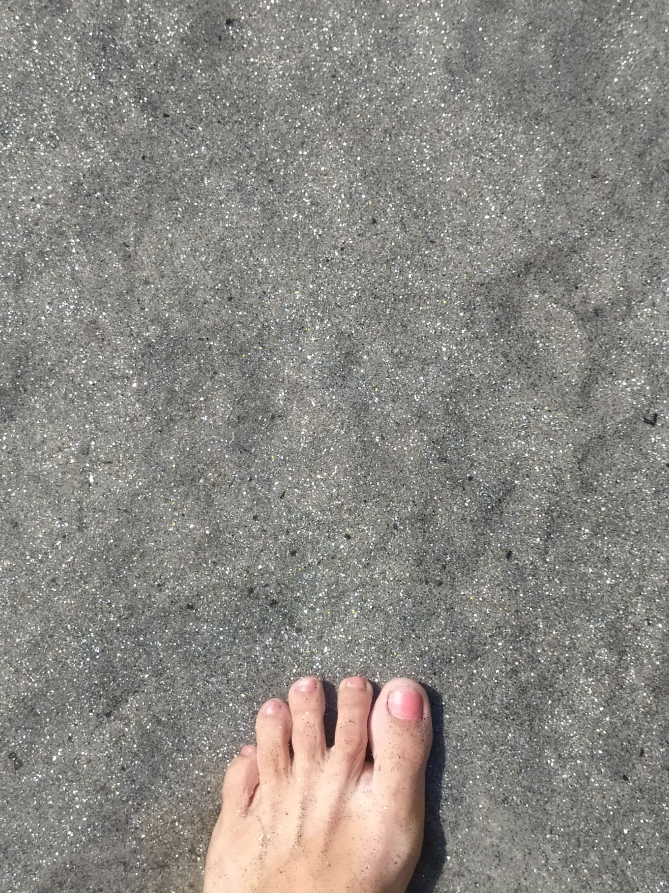 IMG_20230811_102310.jpg