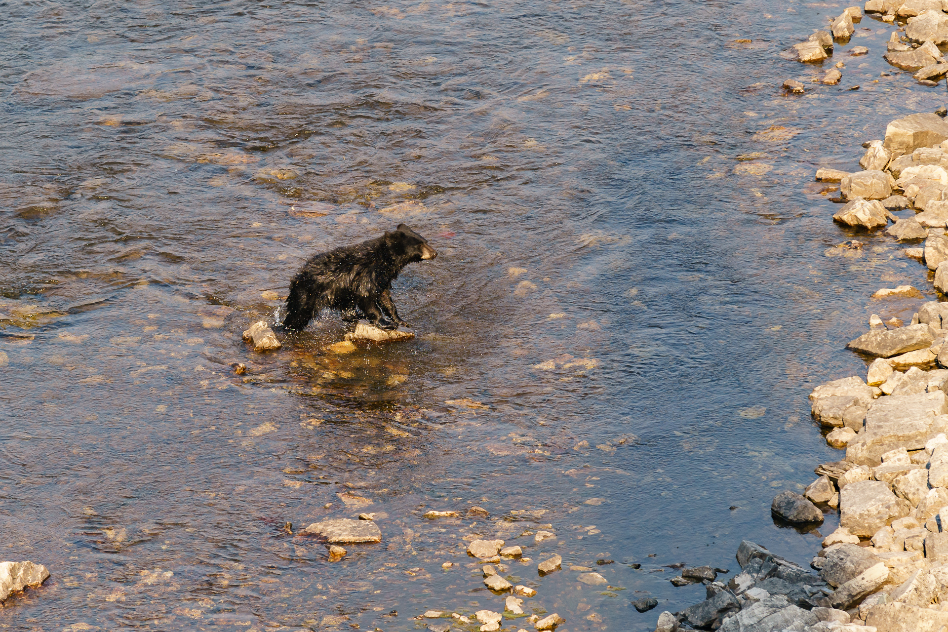 Glacier201508131511.jpg