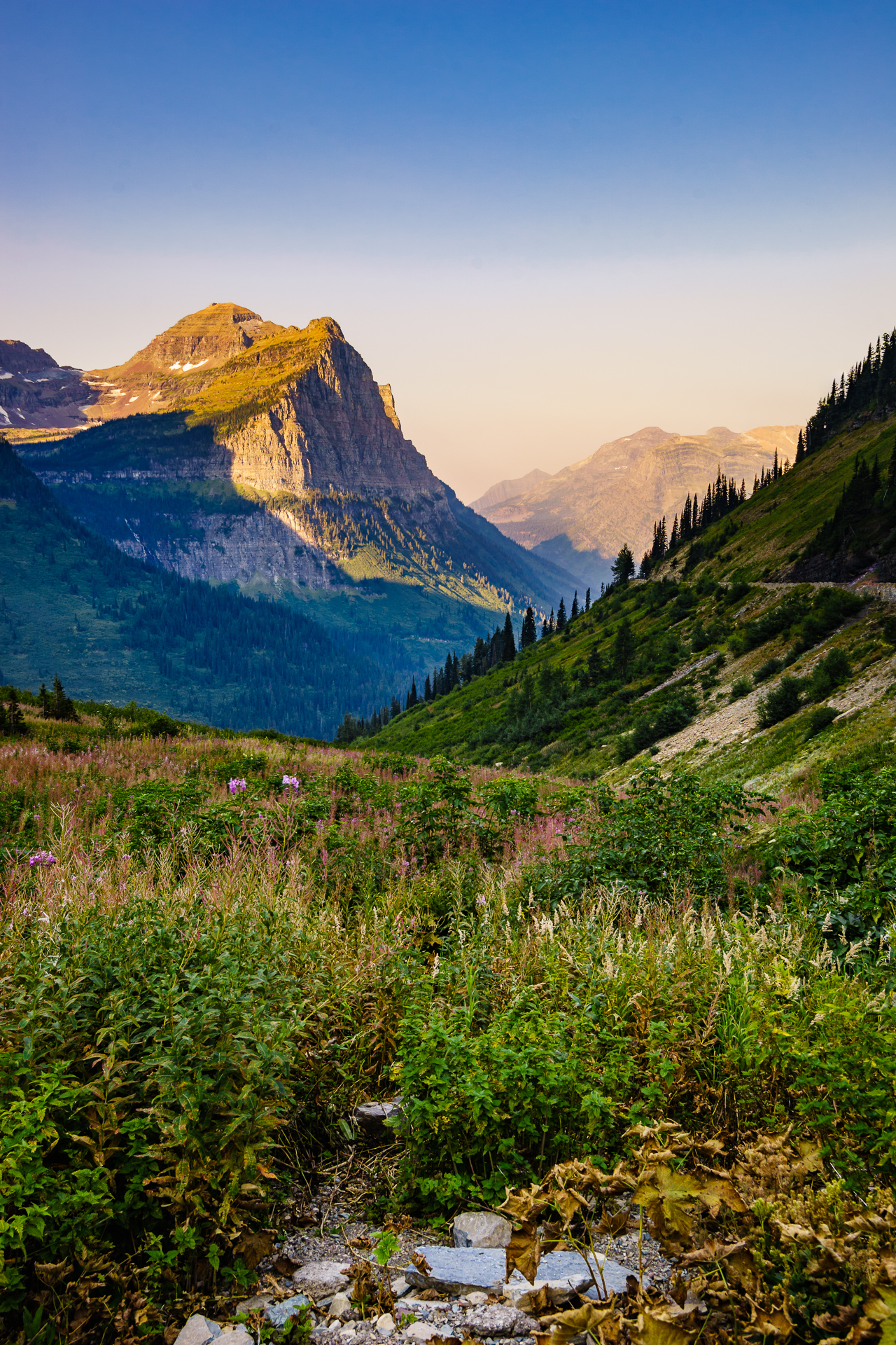 Glacier201508131393.jpg