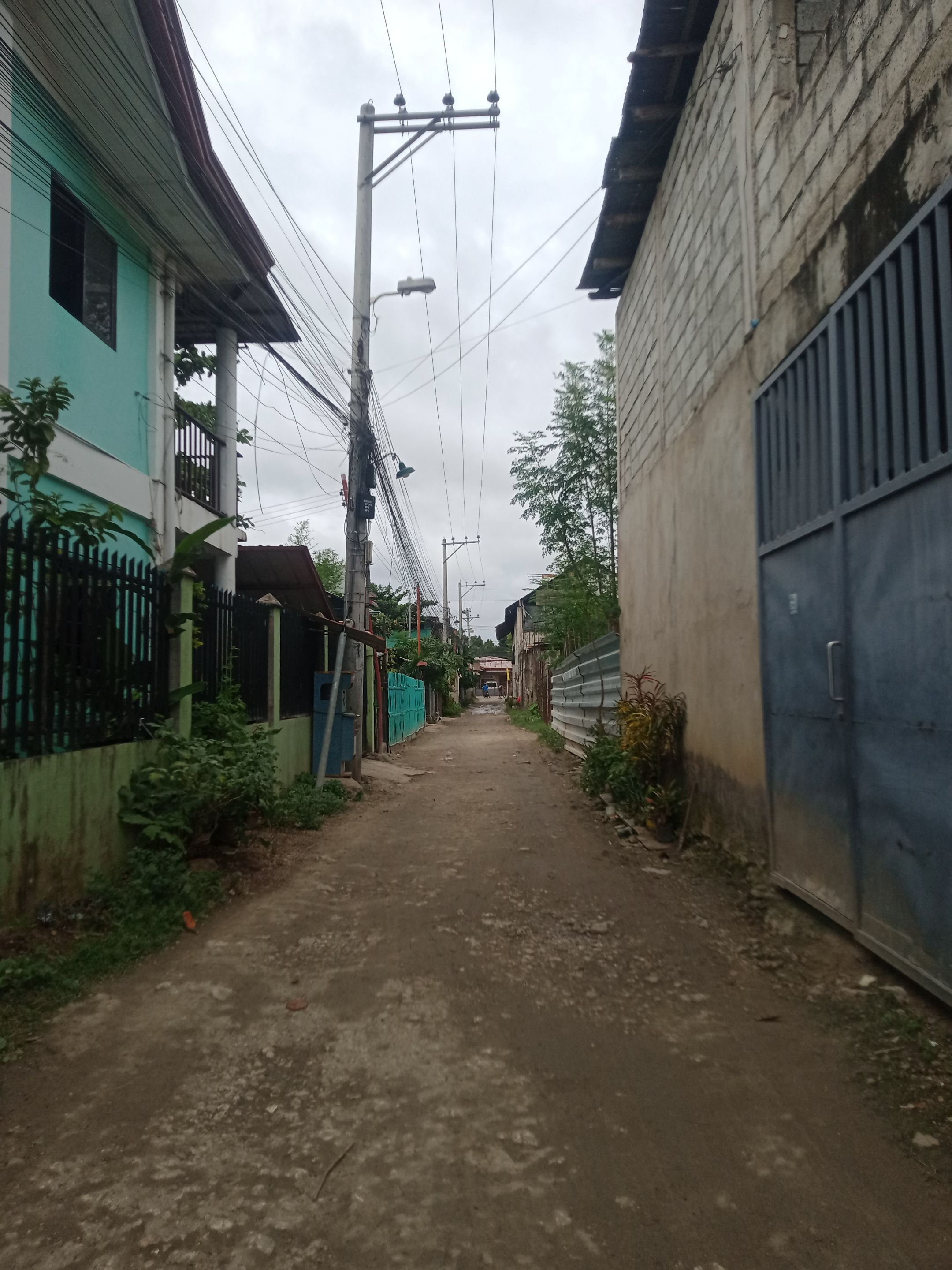 IMG20250129160628.jpg