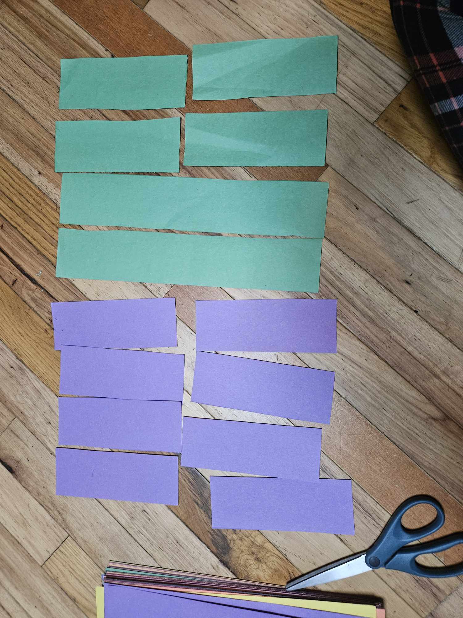 445377158_986049669571061_6991640149261338415_n.jpg