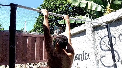 IMG_idklni.gif