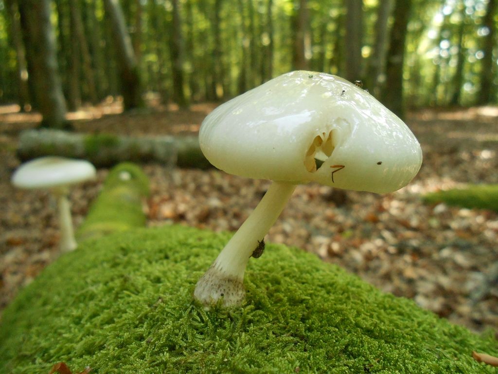 5l.jpg