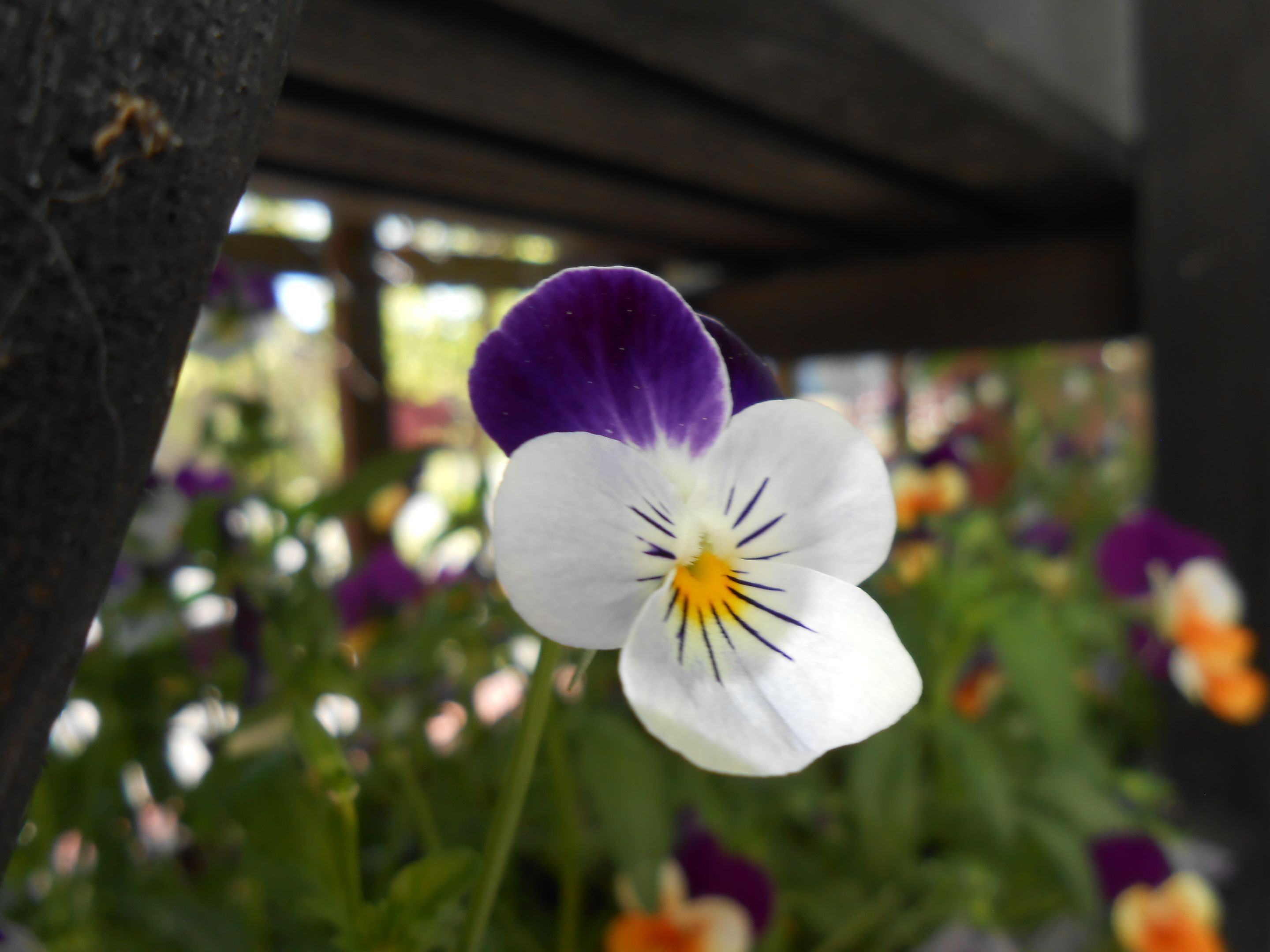 DSCN3490.JPG