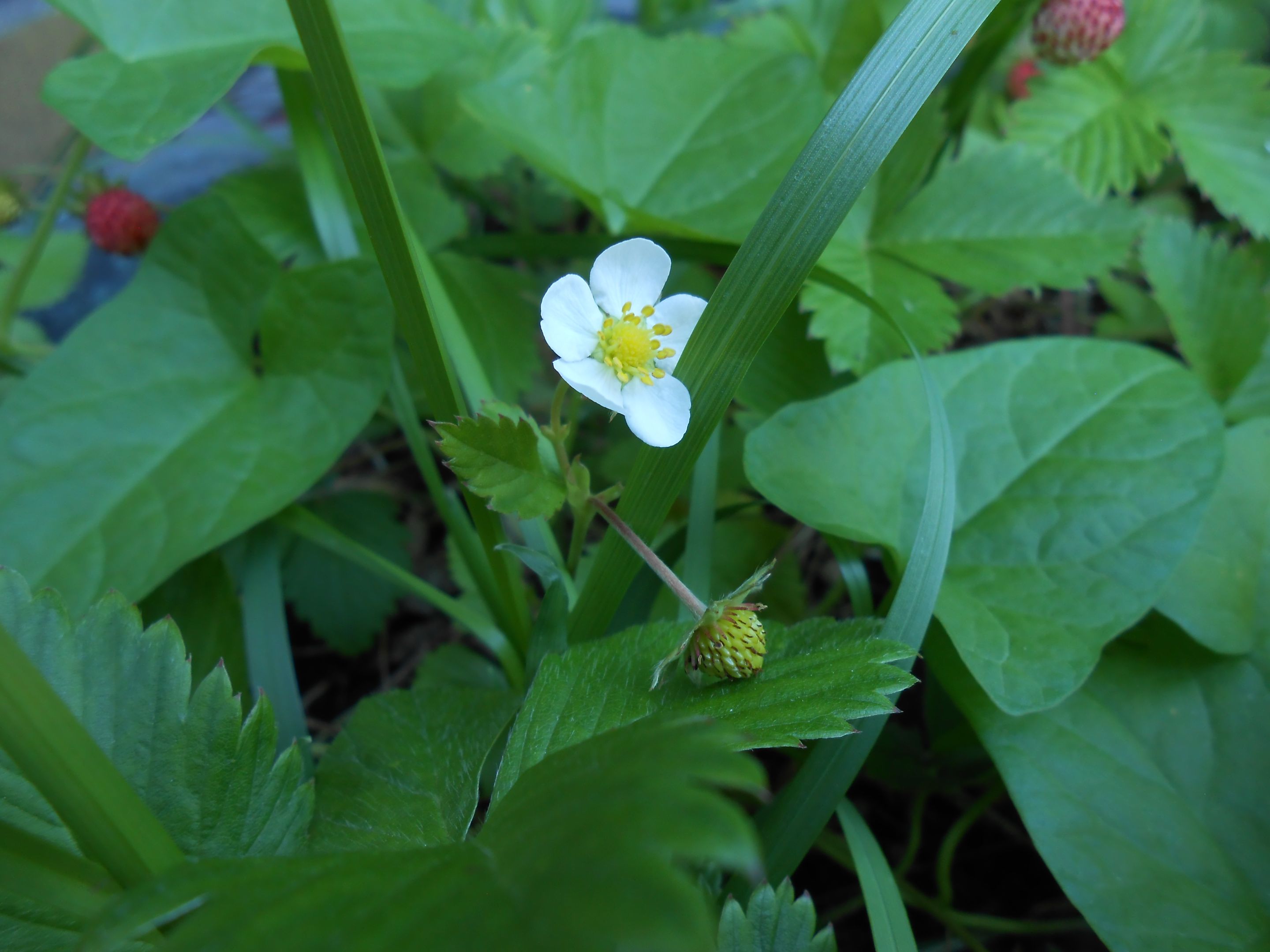DSCN3580.JPG