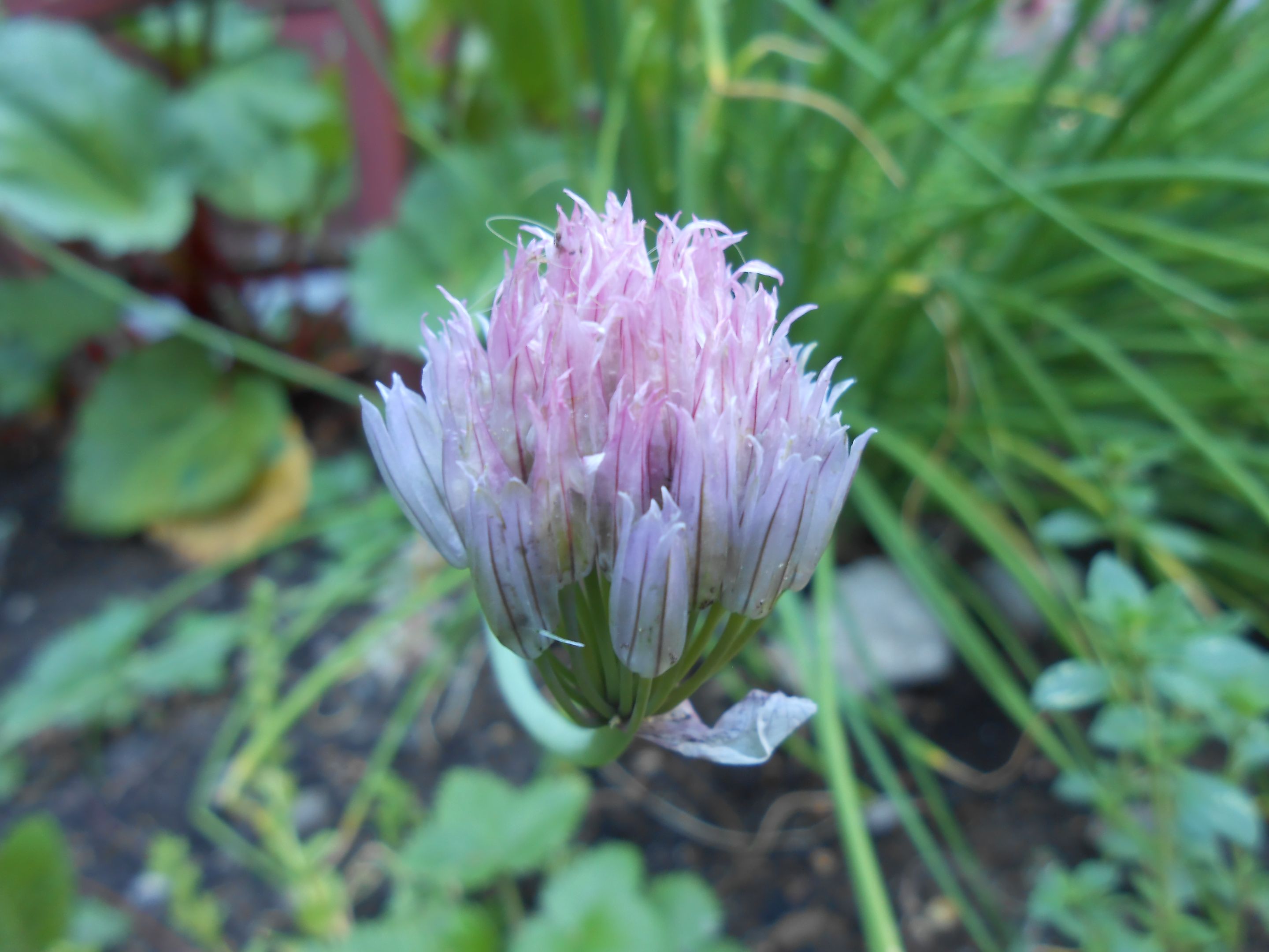 DSCN3557.JPG