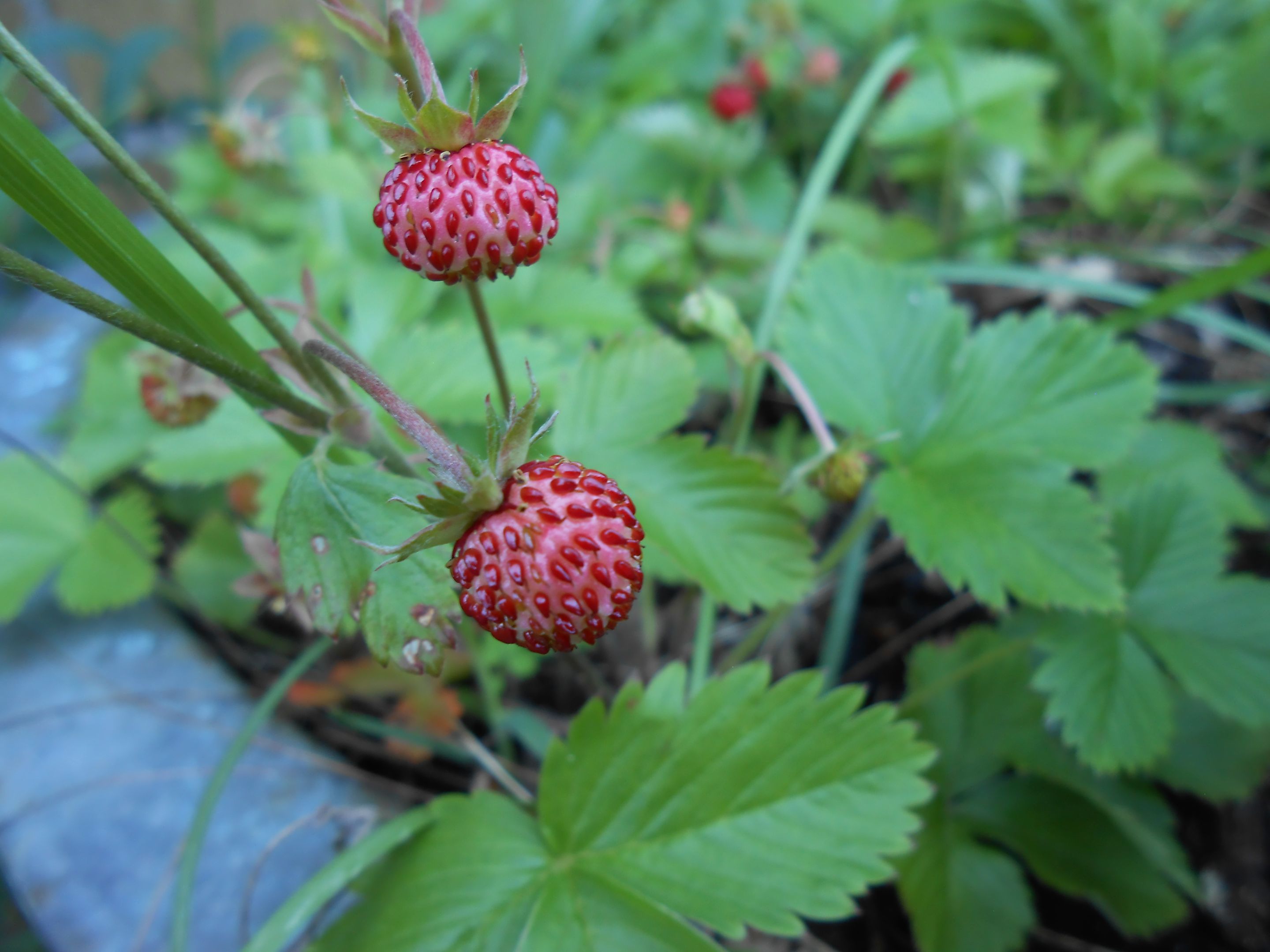 DSCN3573.JPG