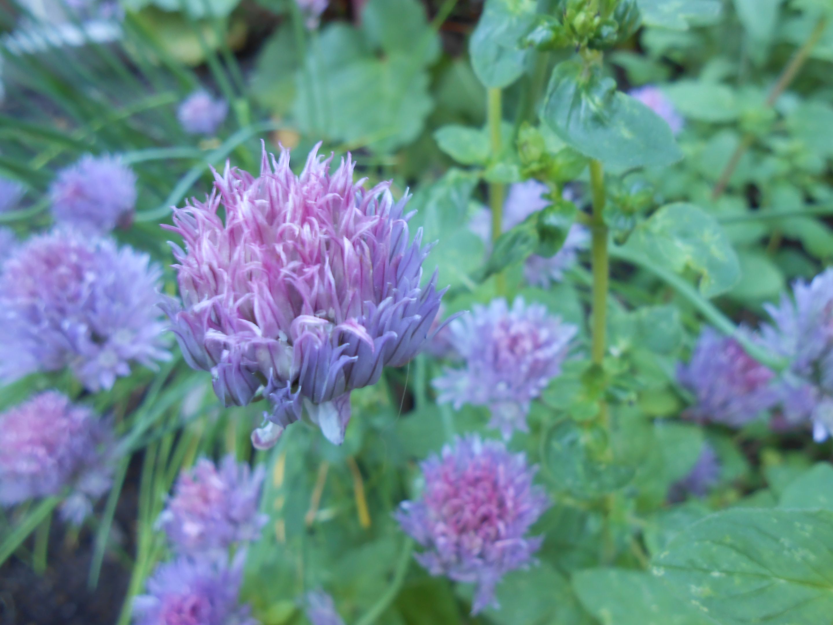 DSCN3565.JPG