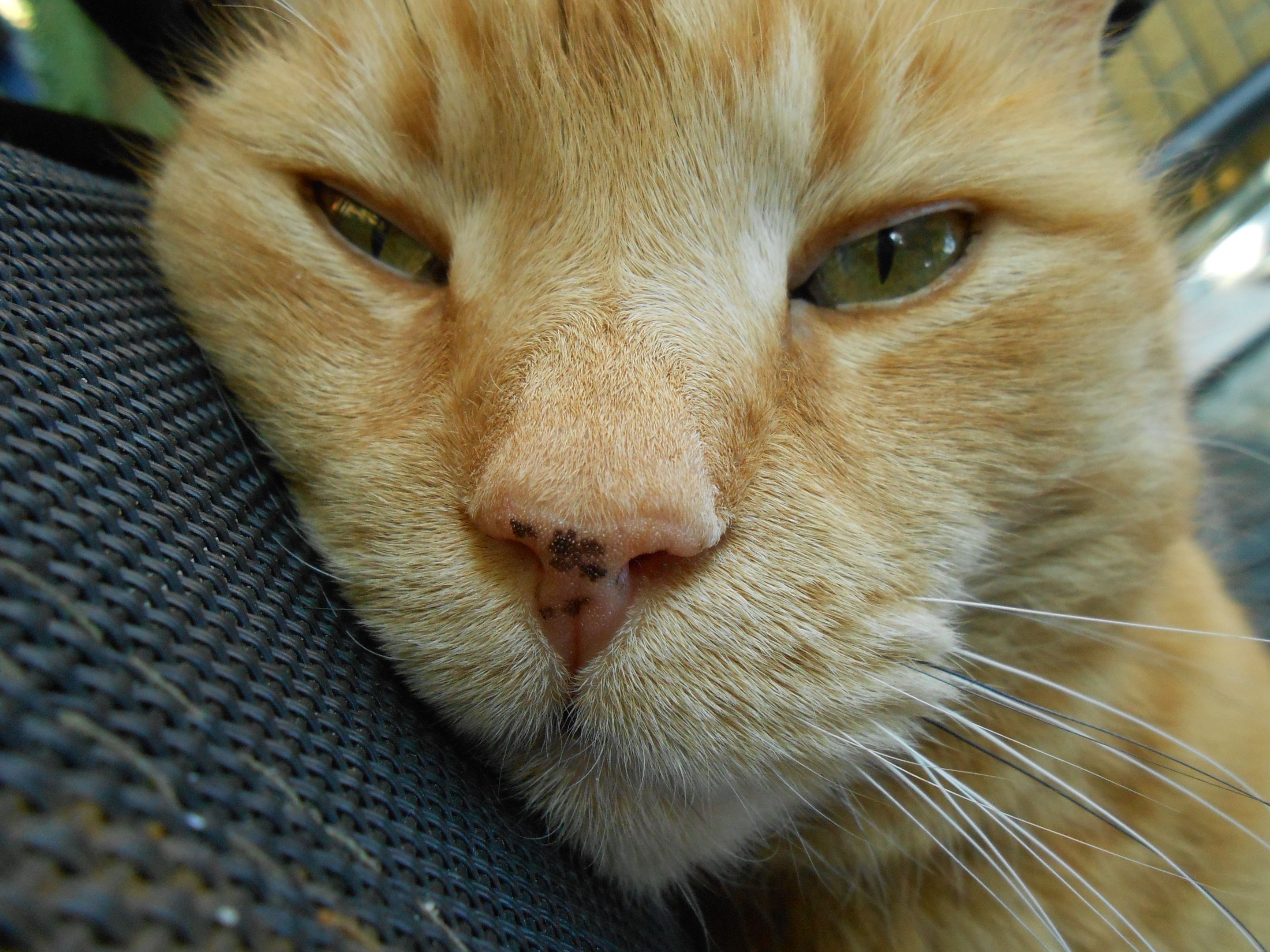DSCN3550.JPG