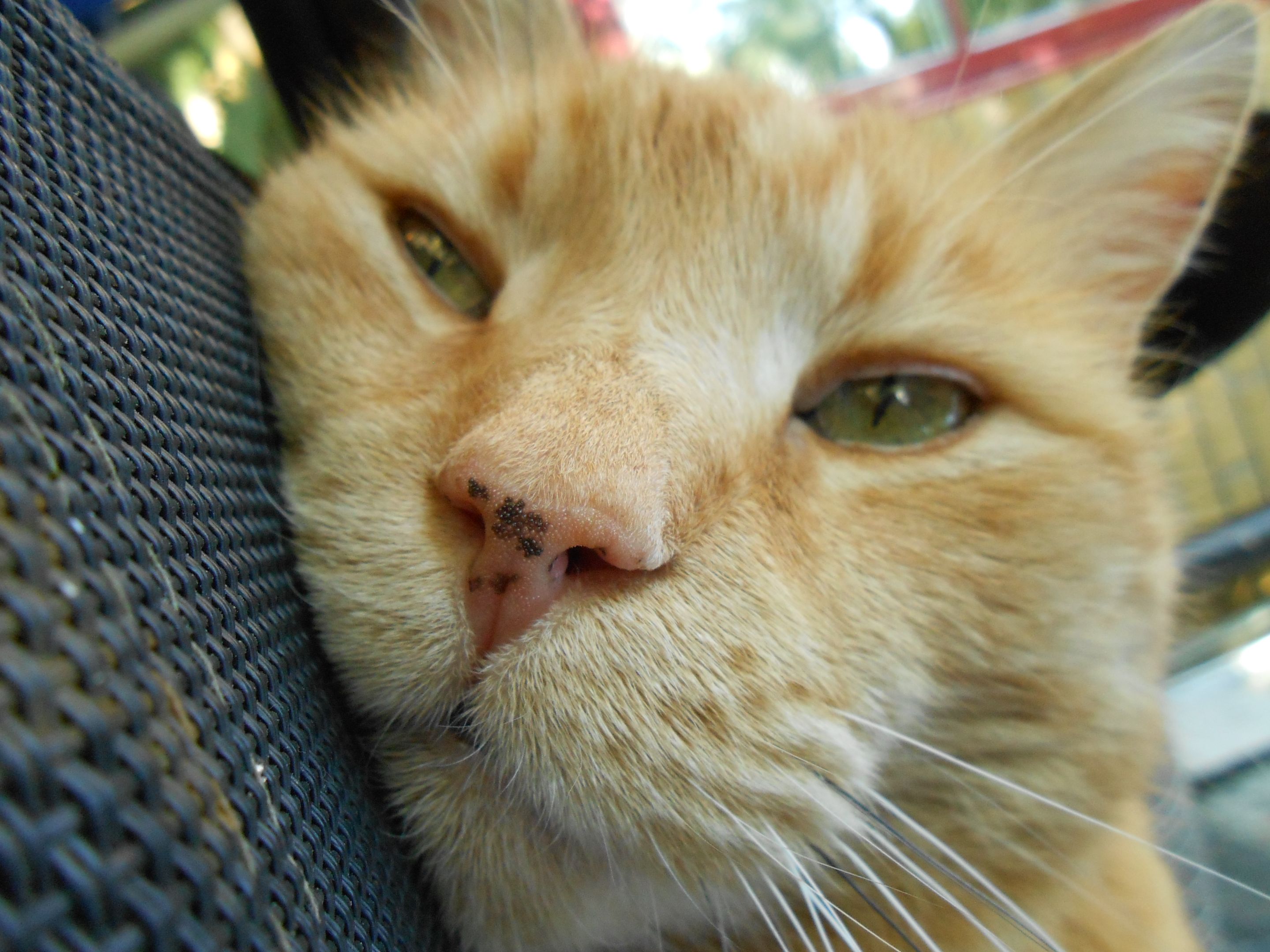 DSCN3551.JPG